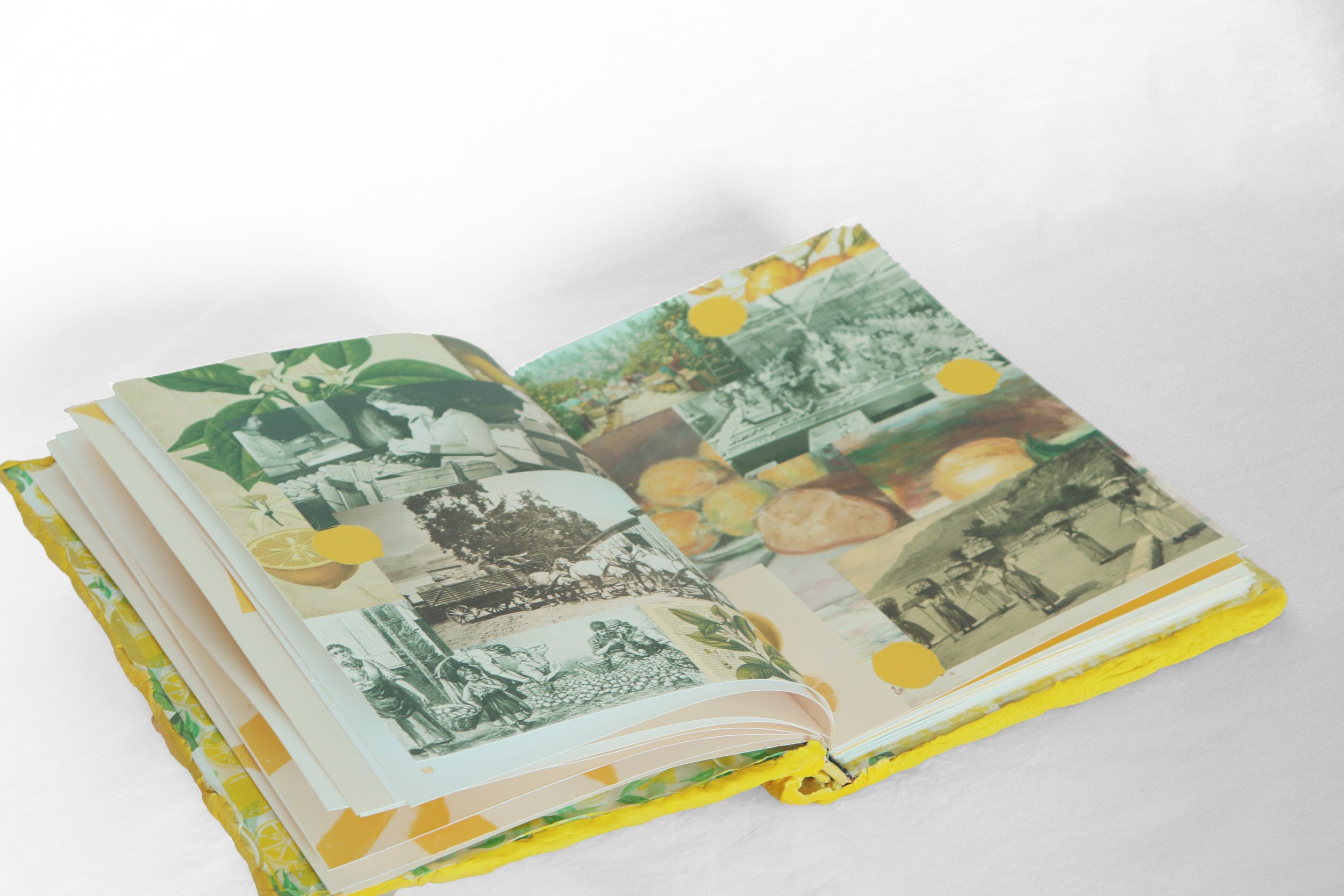 Vide Olsson_Lemon Book_Spread 2 copy.jpg