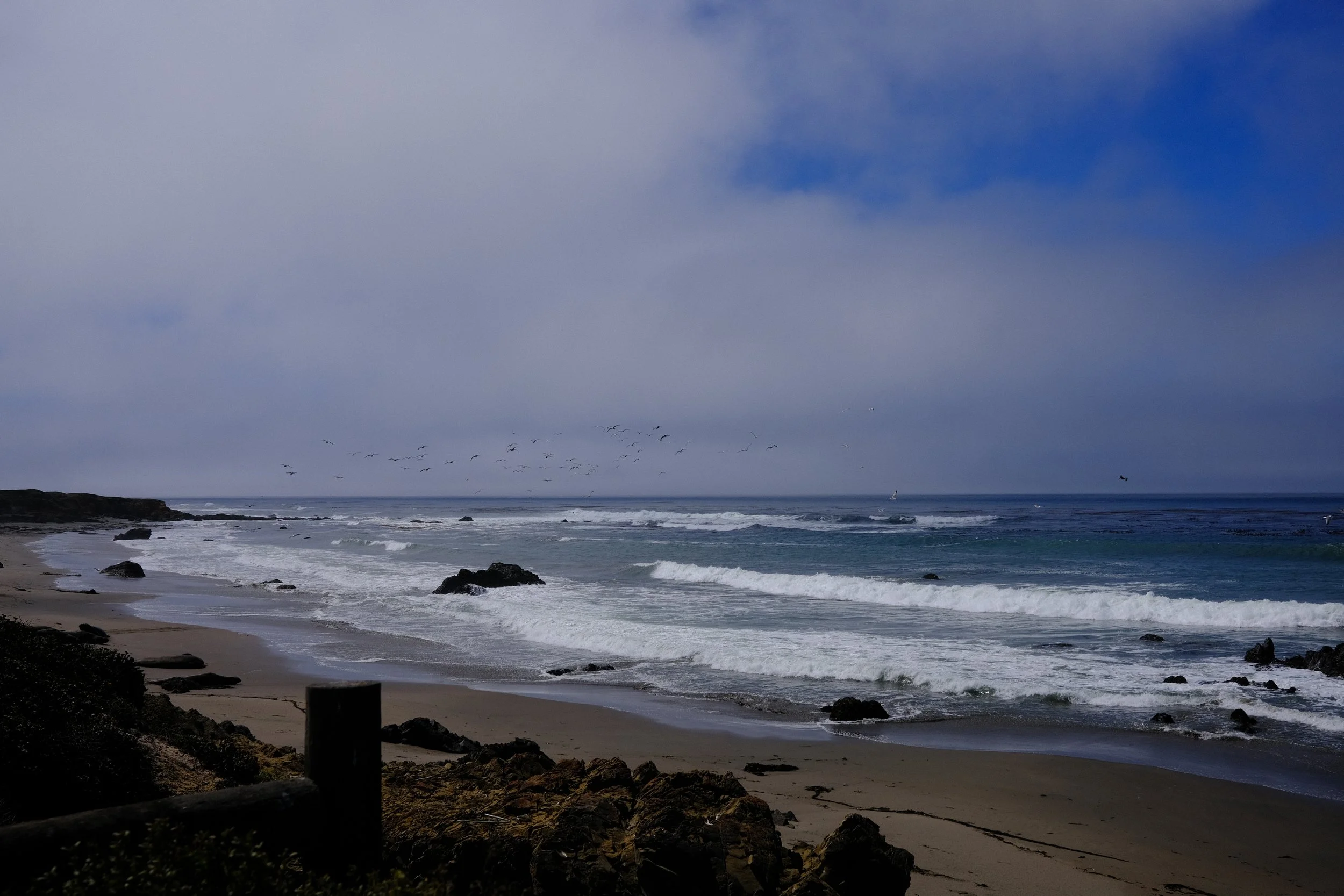 DSCF4650.JPG