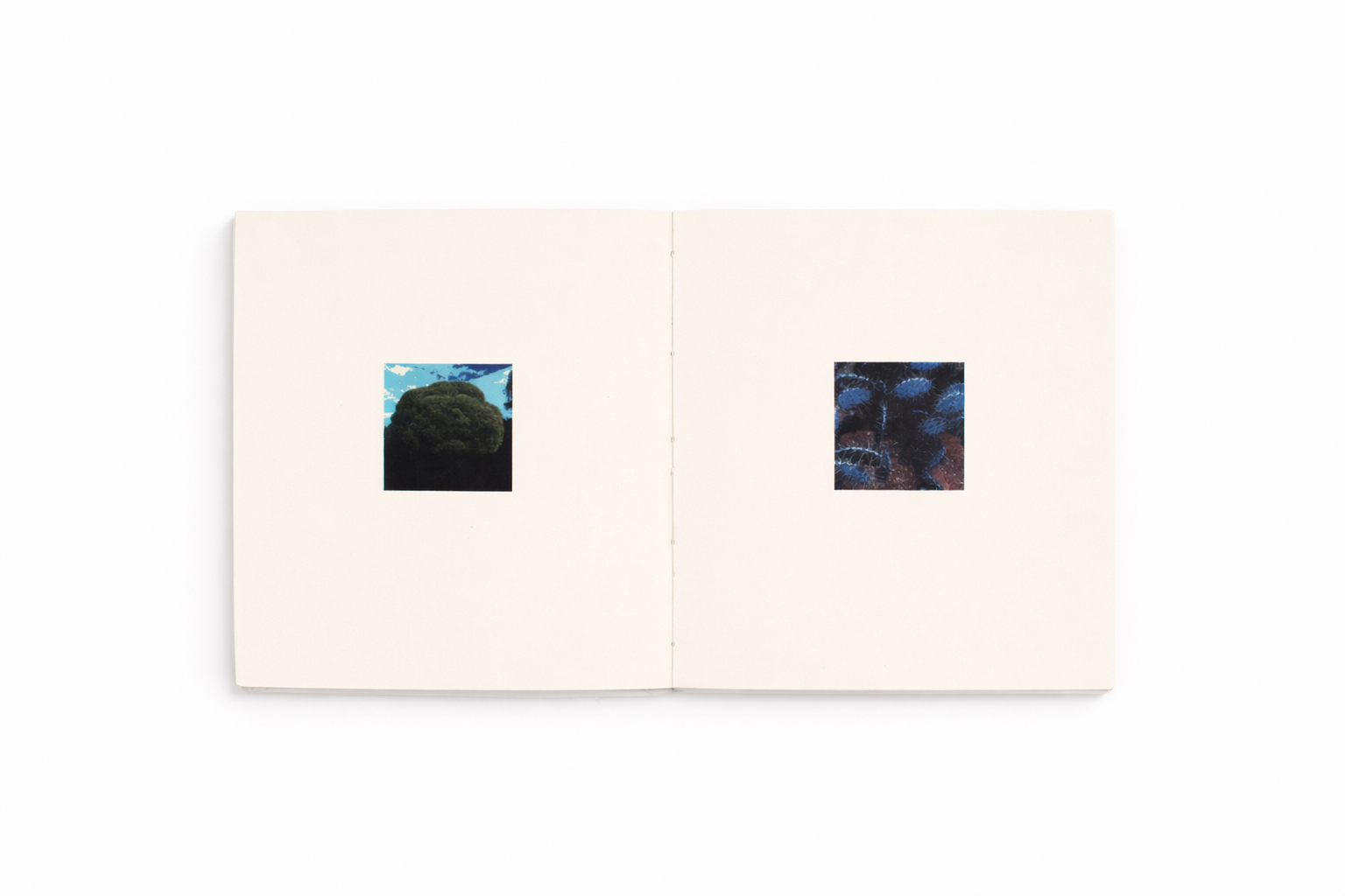 10.png