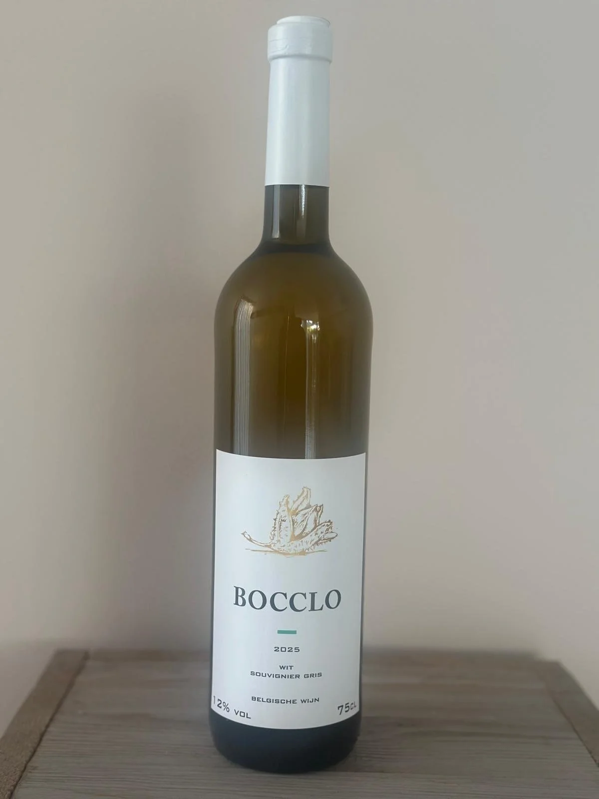 BOCCLO Souvignier Gris 2025