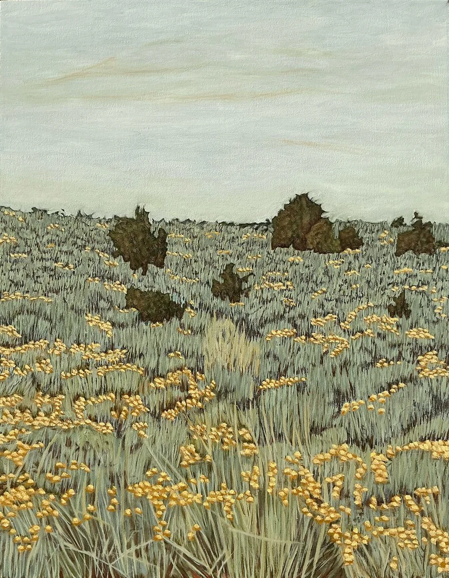 CANYONS 56