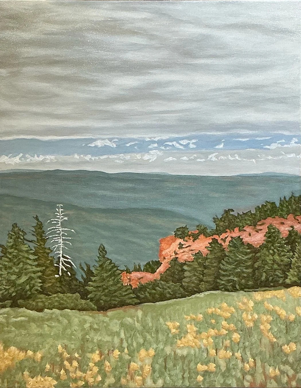 CANYONS 57
