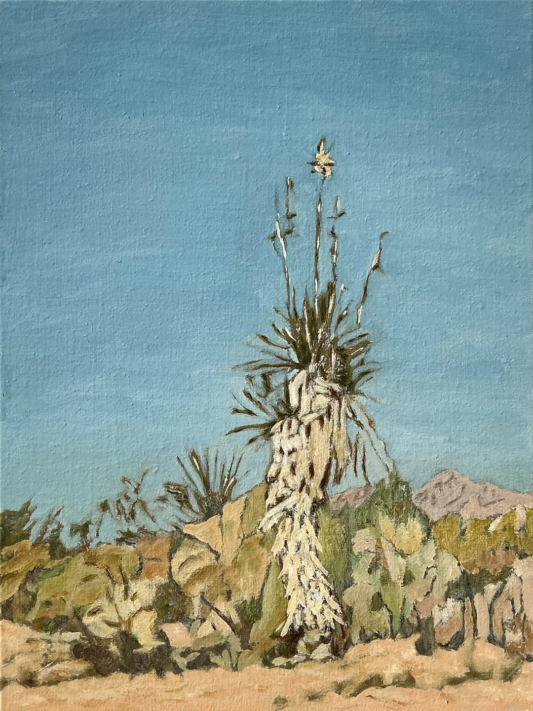 CANYONS 58