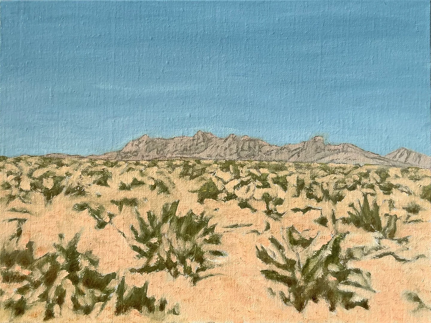 CANYONS 59