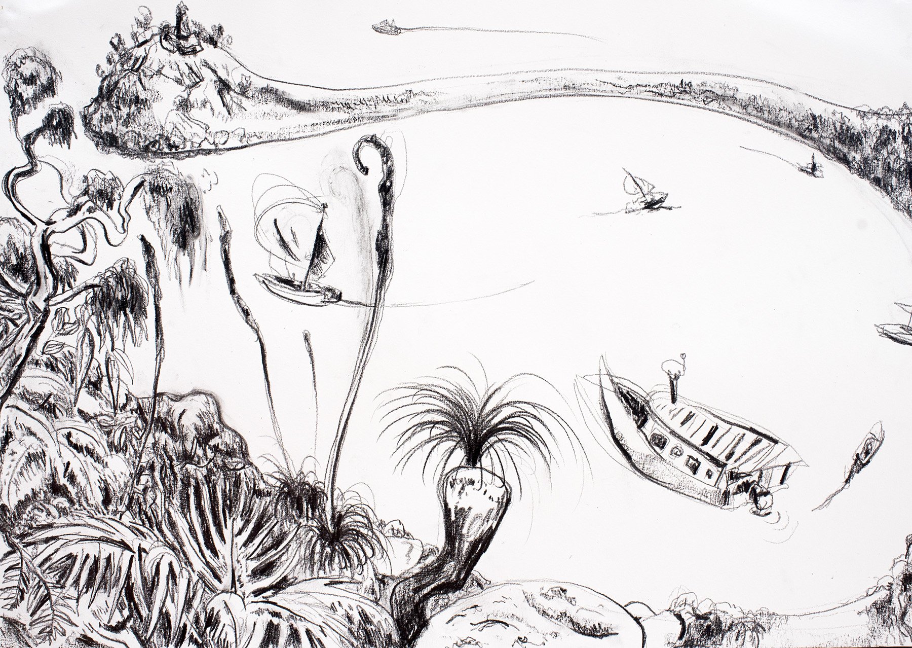Barrenjoey Head from Resolute Track
graphite on paper
41 x 61 cm
2018
$200
