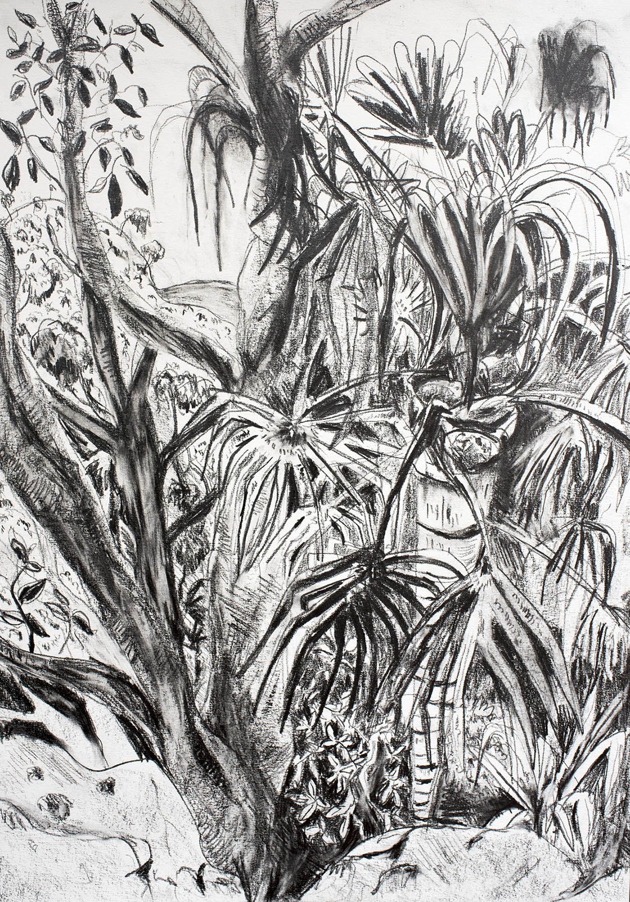 Burgh Ridge
graphite on paper
61 x 41 cm
2018
$200