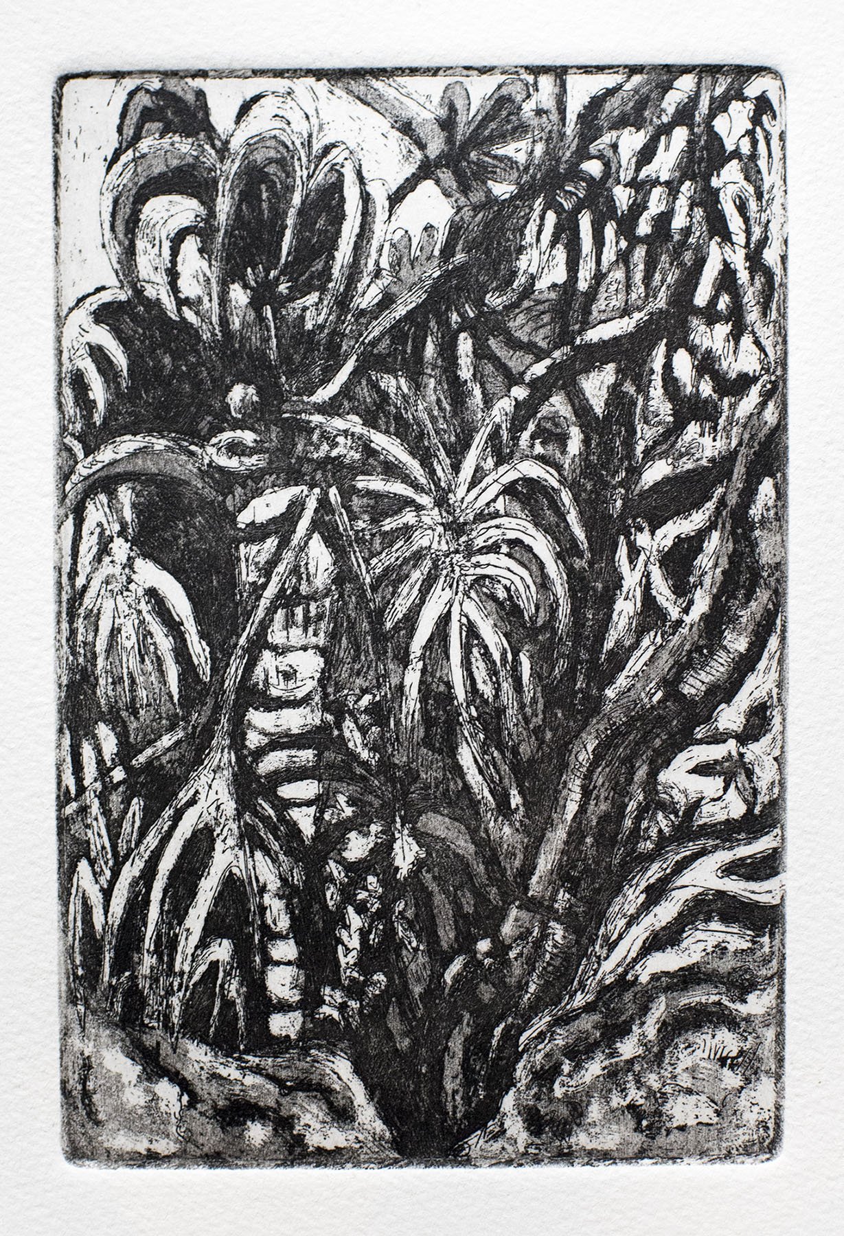Burgh Ridge
etching
20 x 14 cm
2018
$100