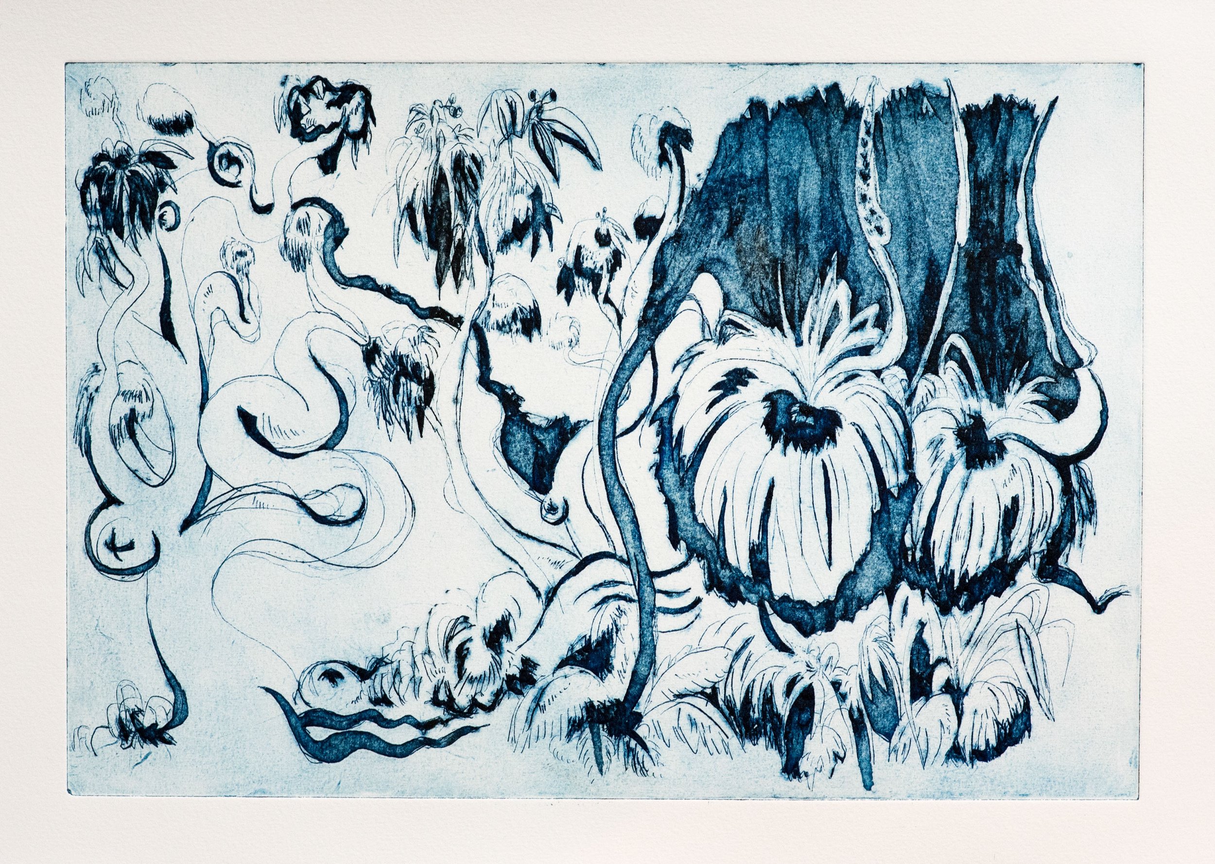 Resolute Track
drypoint
27 x 39 cm
2018
Sold