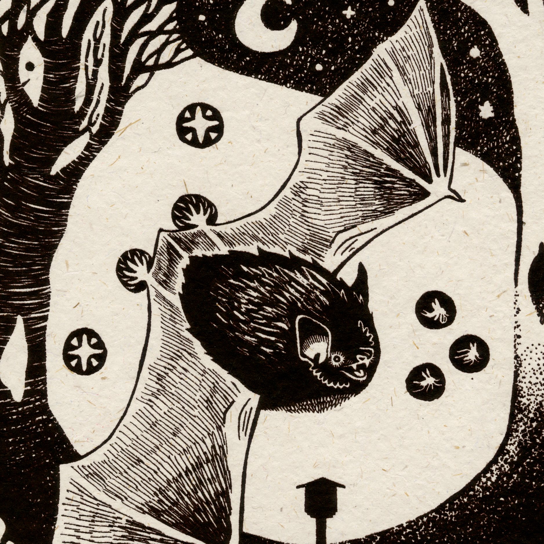 BAT DETAIL 1.png