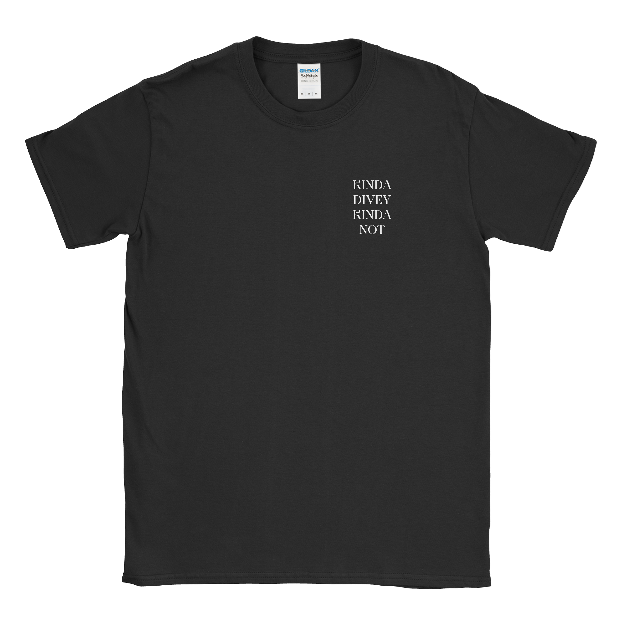 Gildan 64000.png