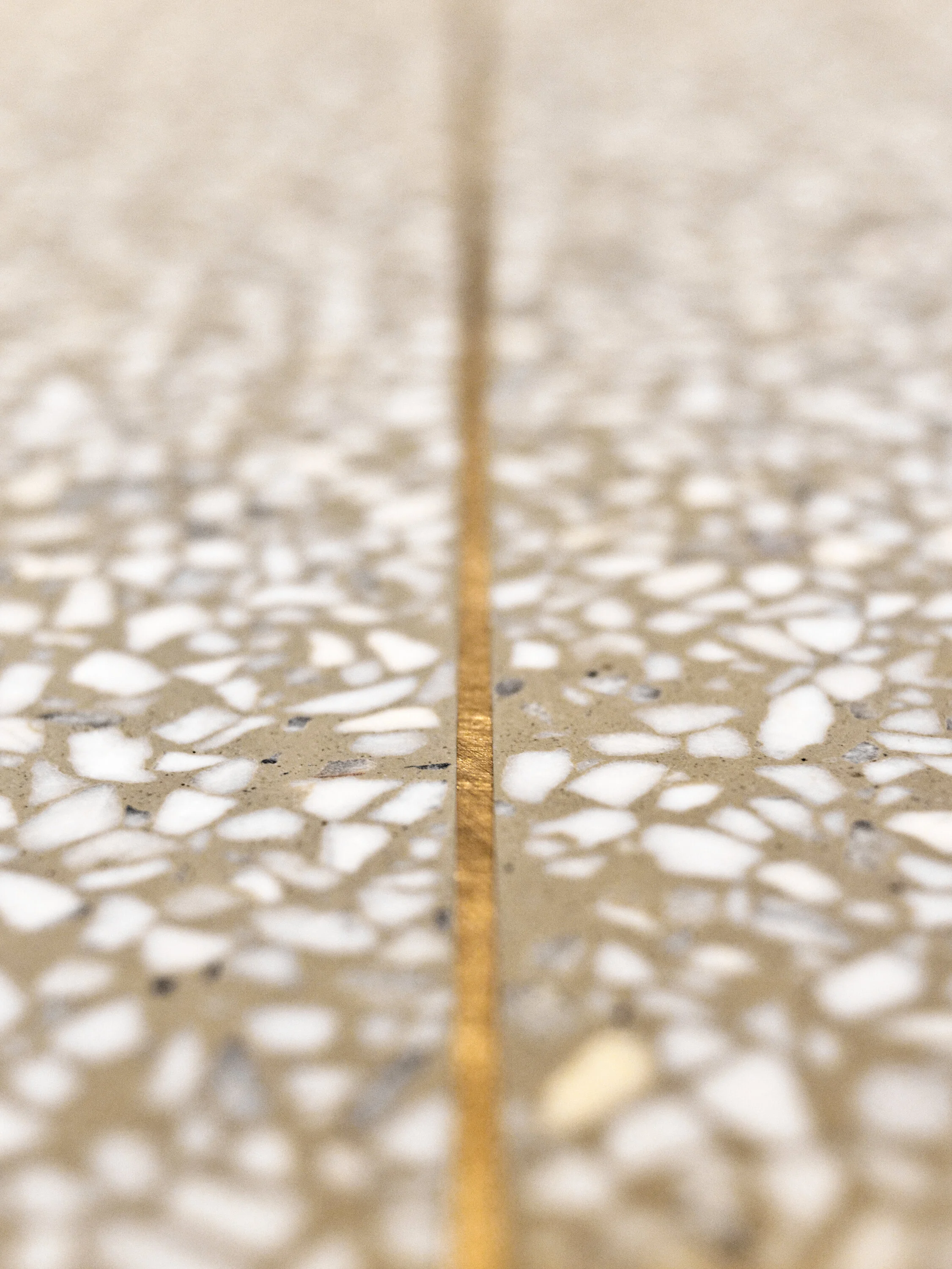 JGNA residential detail of a terrazzo floor with a slim brass inlay line