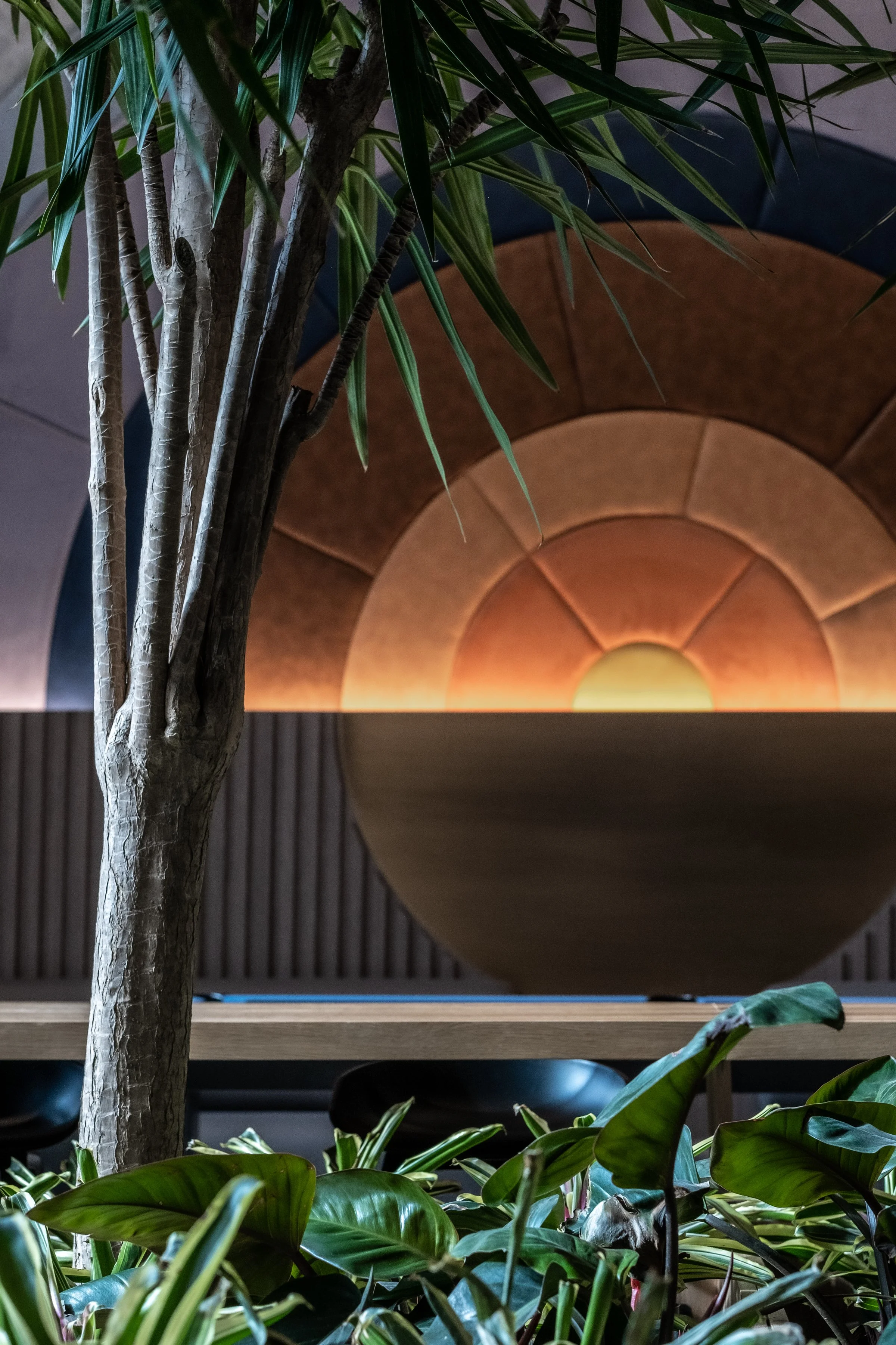 JGNA residential lounge detail with an interior tree framing an arched sunset-toned wall feature