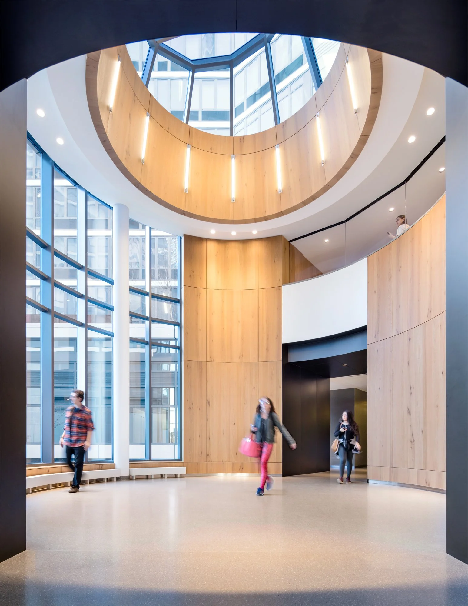 JGNA residential atrium with a round oculus skylight, curved oak walls, and full-height glazing