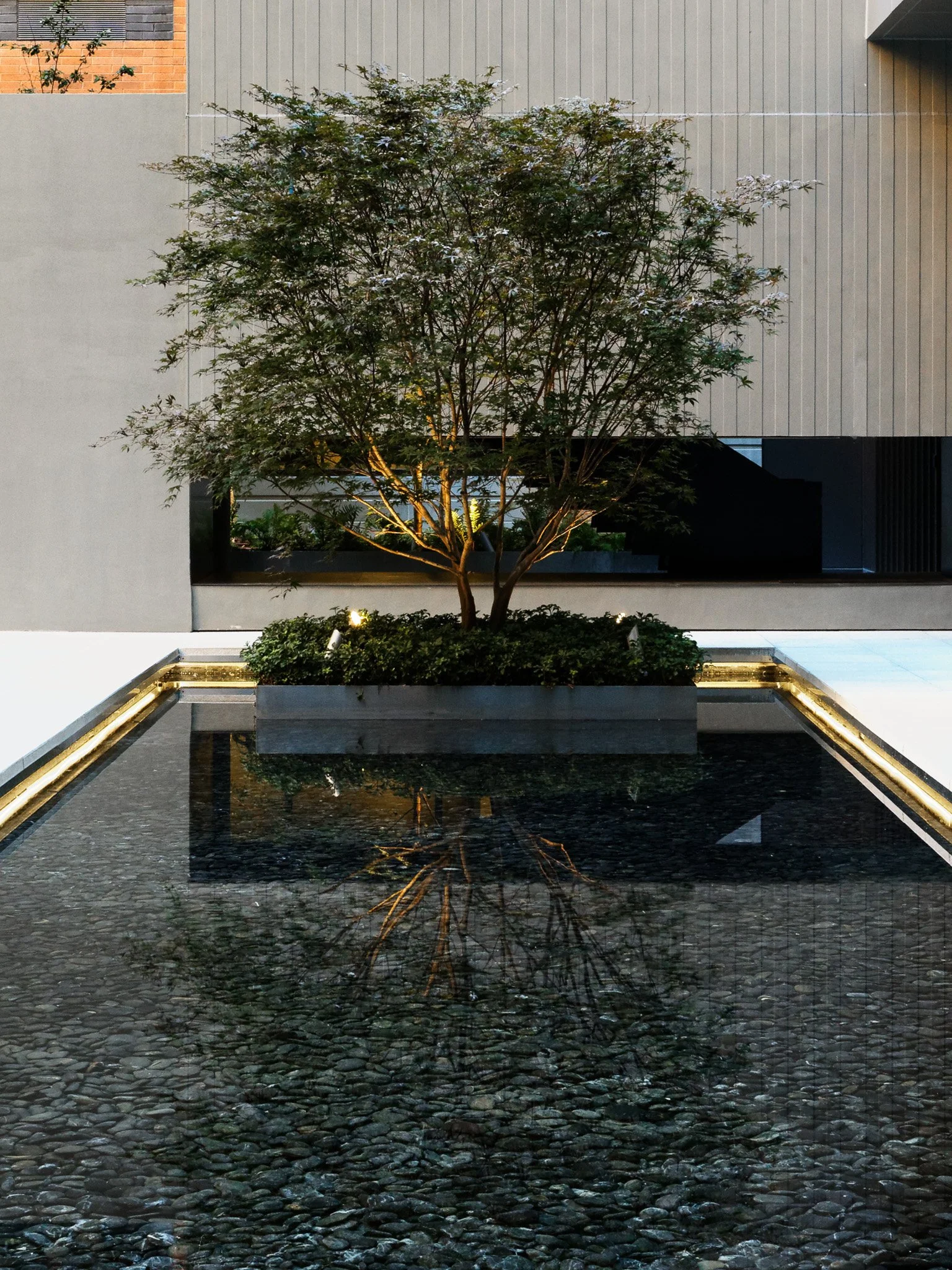 JGNA residential courtyard water feature with a tree in a raised planter reflected in a still black pool at dusk