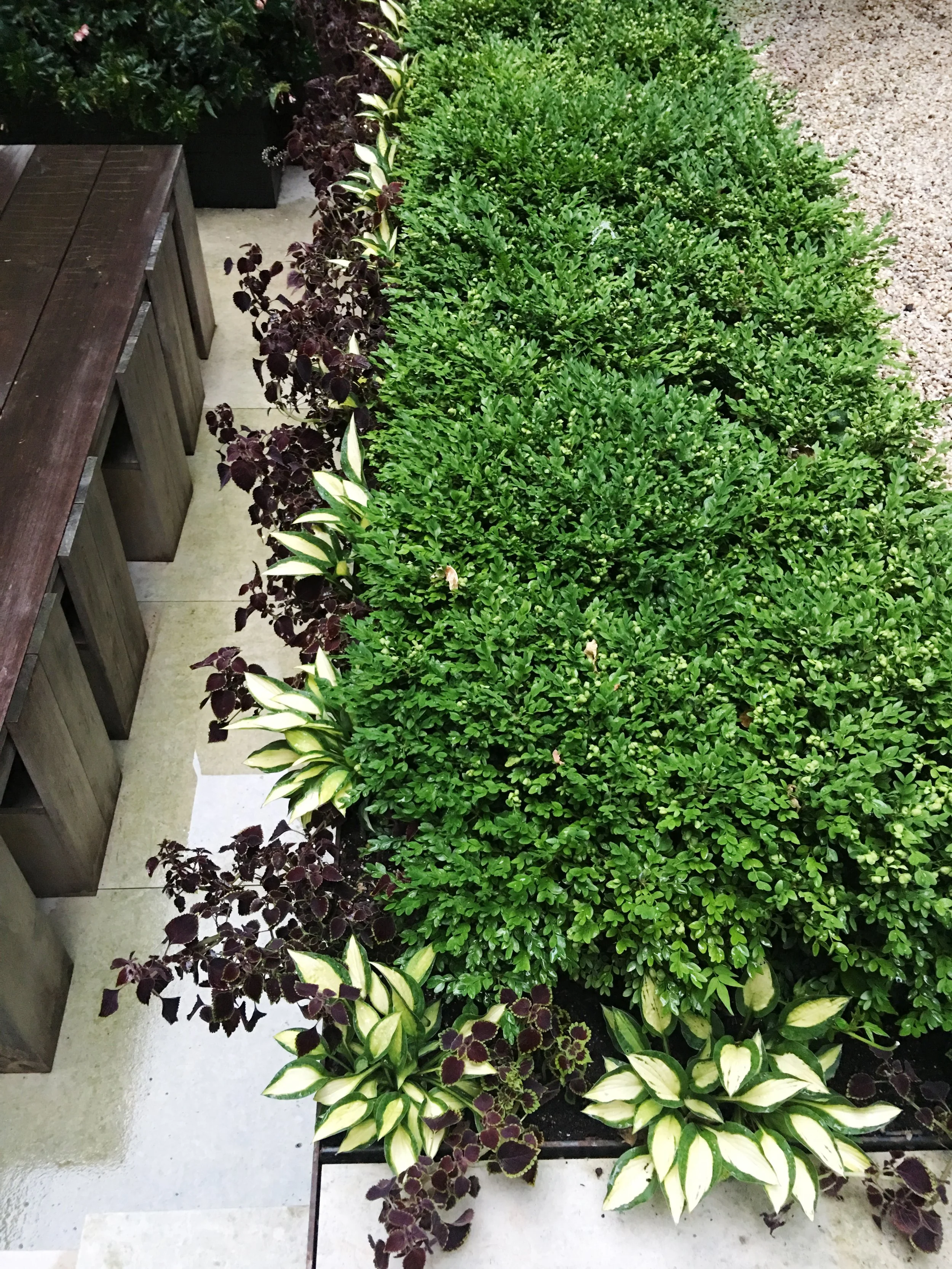 aerial detail of sculptural outdoor seating and layered garden plantings at Fabien Baron's West Village townhouse by JG Neukomm Architecture