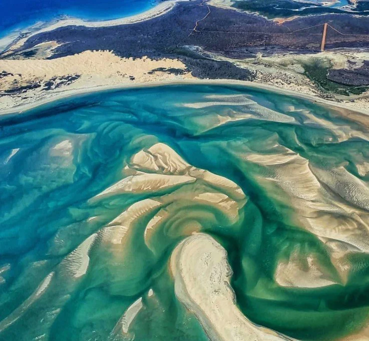 Services 1 — DIVERSE land architecture