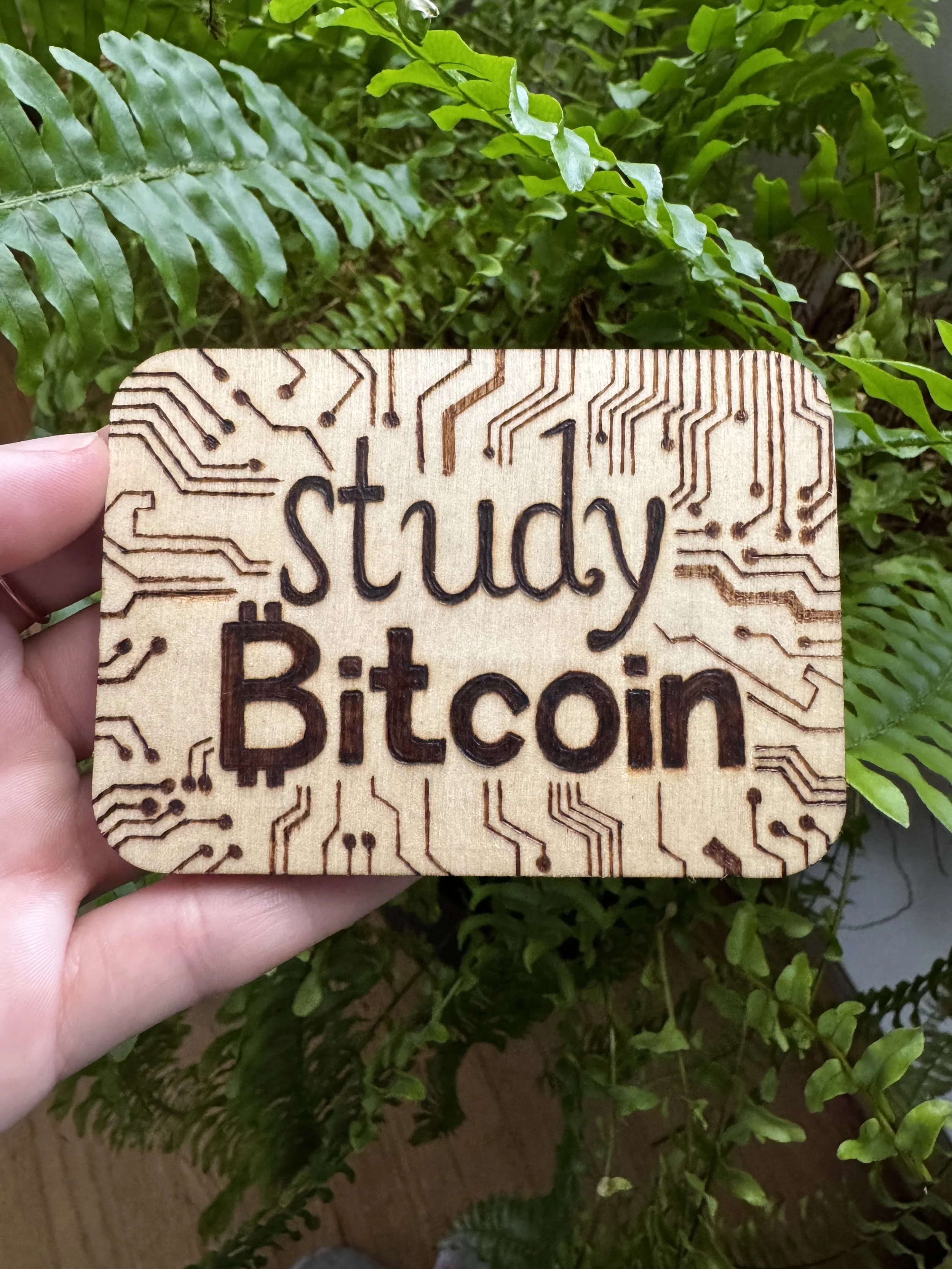 studybitcoin.jpg