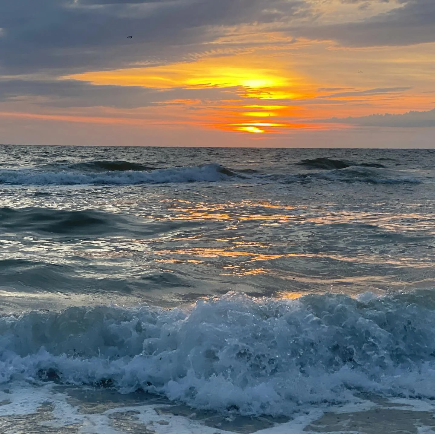 Thankful I&rsquo;m blessed enough to see so much beauty in this world ❤️

#shiftingfocusadventures #fulltimervfamily #rvlife #gdrv4life #adventureawaits #rootlessliving #whywait #ocean #sunsetphotography #florida #naturesbeauty #boymomlife #gulfcoast