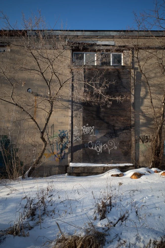 Toronto_Photographer_Joanna_Wojewoda_Toronto-5.jpg