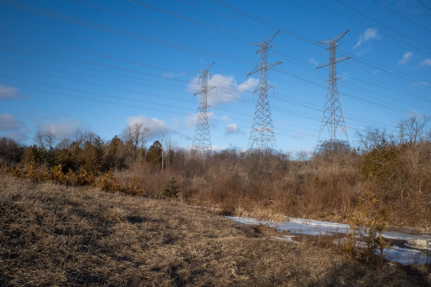 Toronto_Photographer_Joanna_Wojewoda_Toronto-11.jpg
