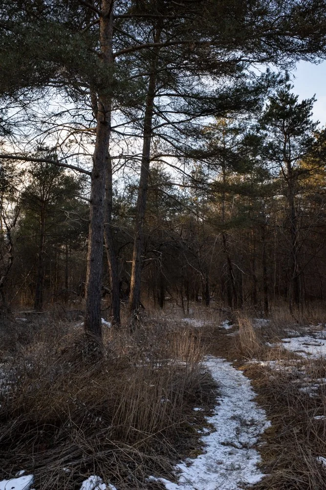 Toronto_Photographer_Joanna_Wojewoda_Toronto-13.jpg