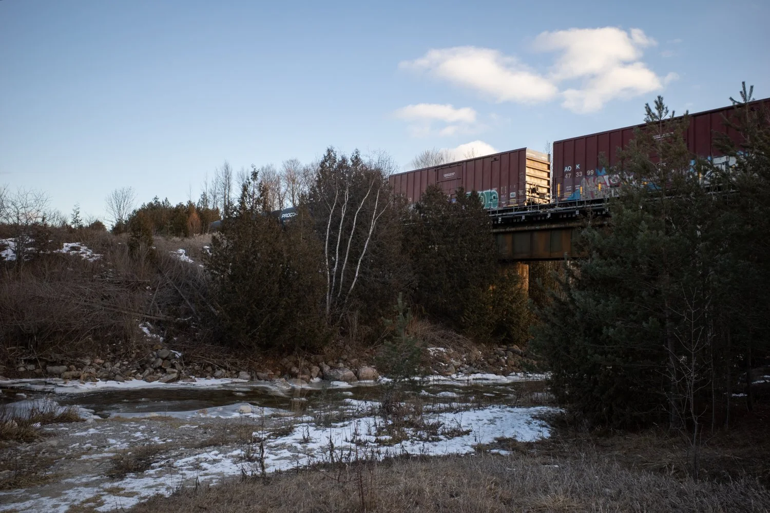 Toronto_Photographer_Joanna_Wojewoda_Toronto-15.jpg
