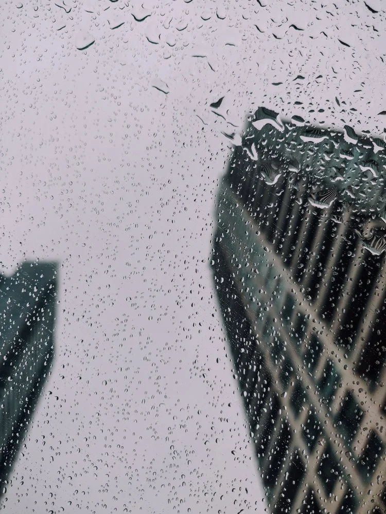 Toronto_Photographer_Joanna_Wojewoda_Toronto-22.jpg