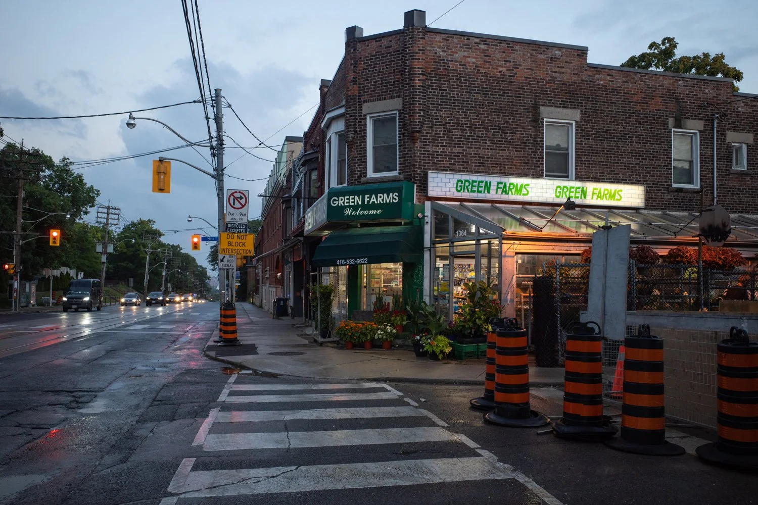 Toronto_Photographer_Joanna_Wojewoda_Toronto_Streets-2.jpg