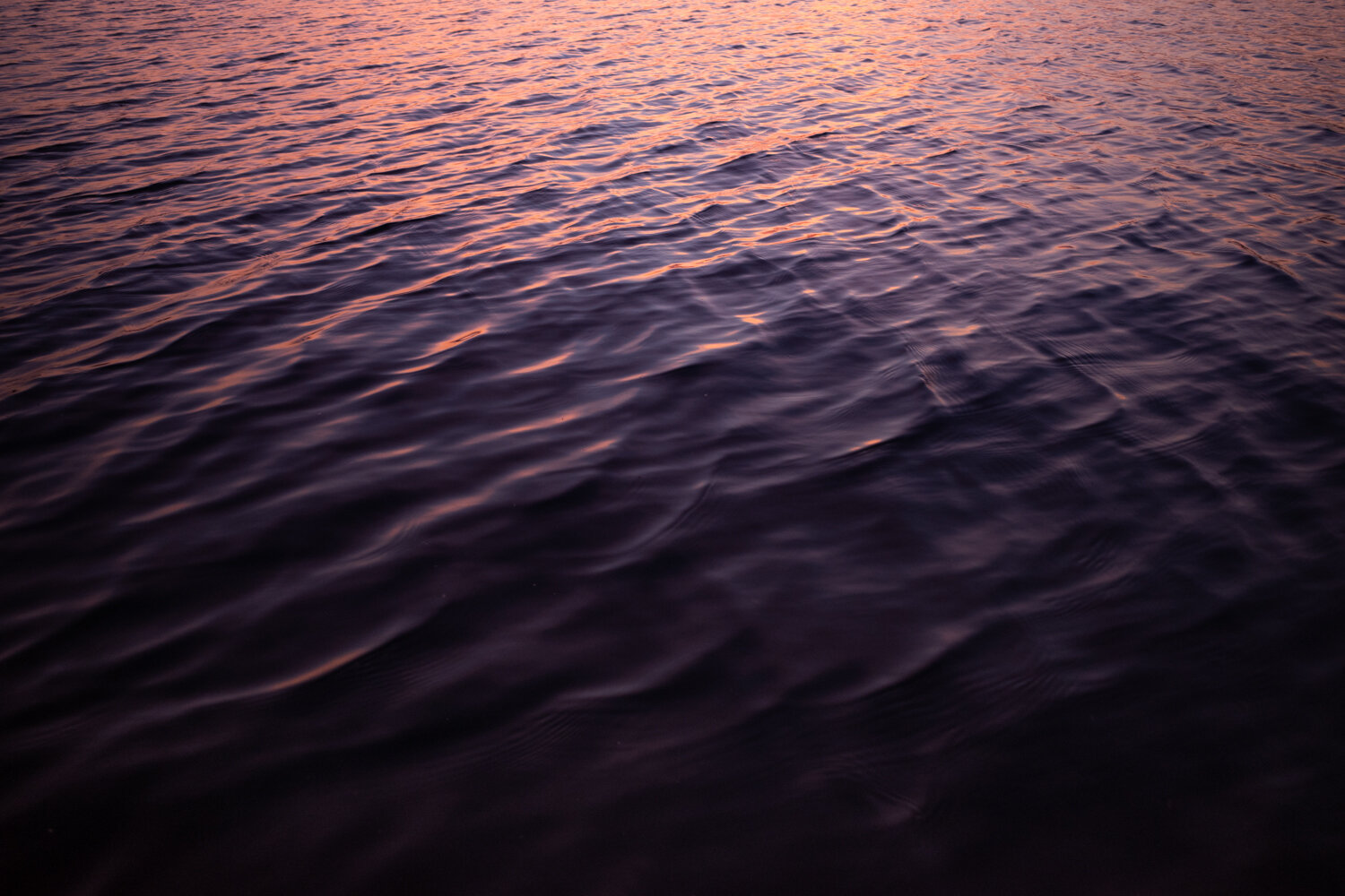 Toronto_Photographer_Joanna_Wojewoda_North_Ontario-2.jpg