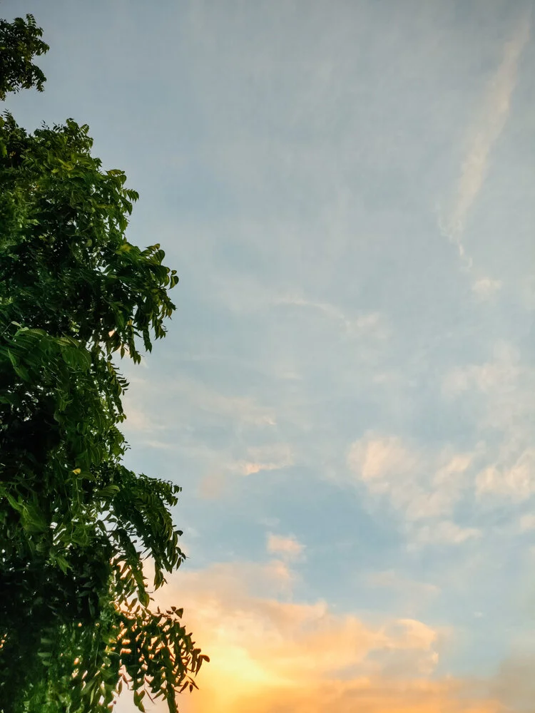 Toronto_Photographer_Joanna_Wojewoda_Window-8.jpg