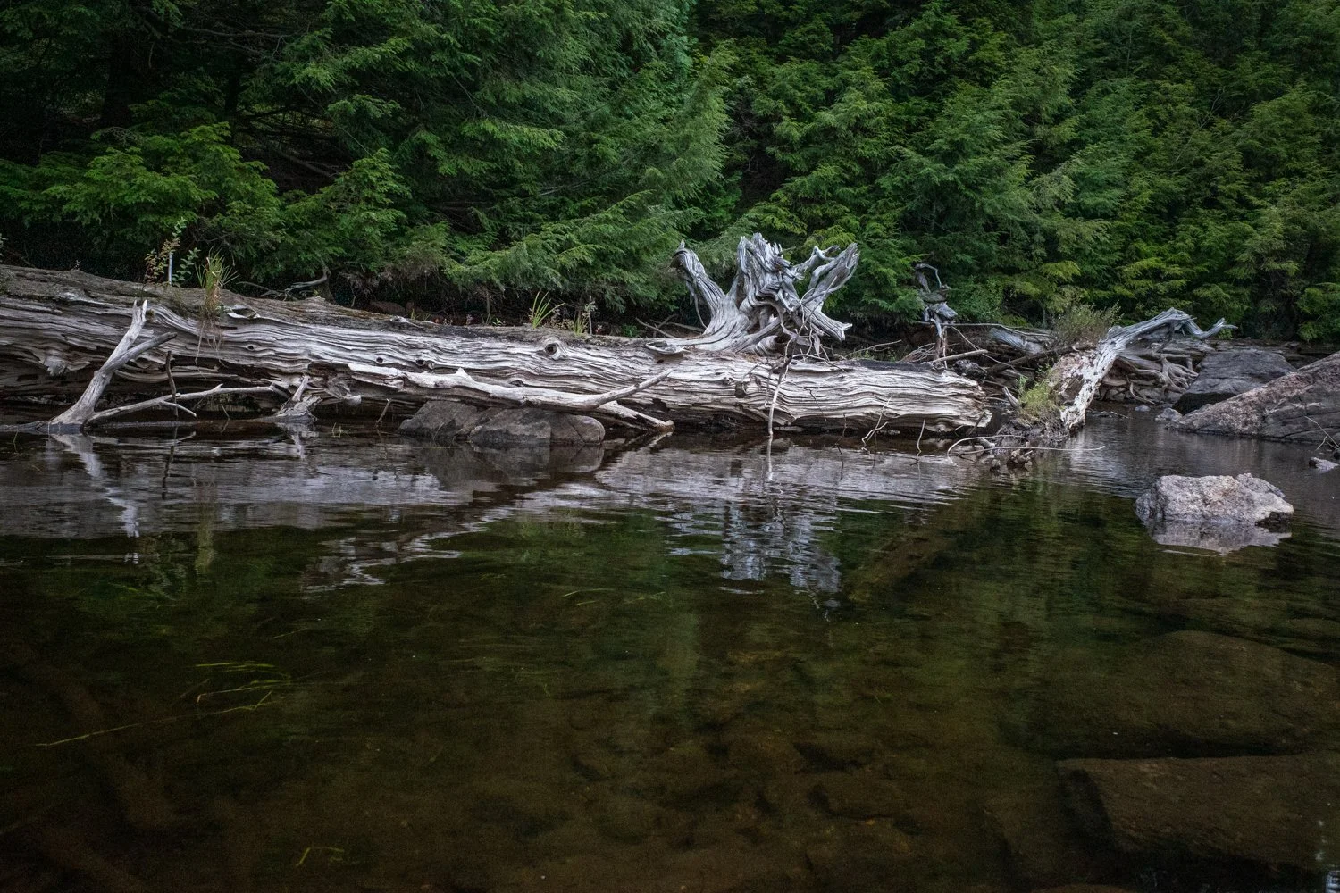 Toronto_Photographer_Joanna_Wojewoda_North_Ontario-14.jpg