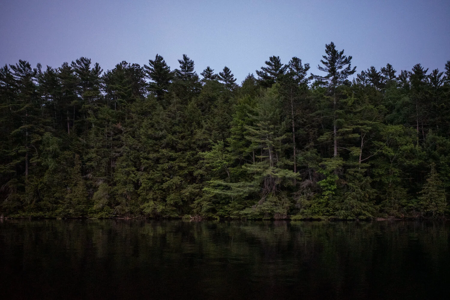 Toronto_Photographer_Joanna_Wojewoda_North_Ontario-5.jpg