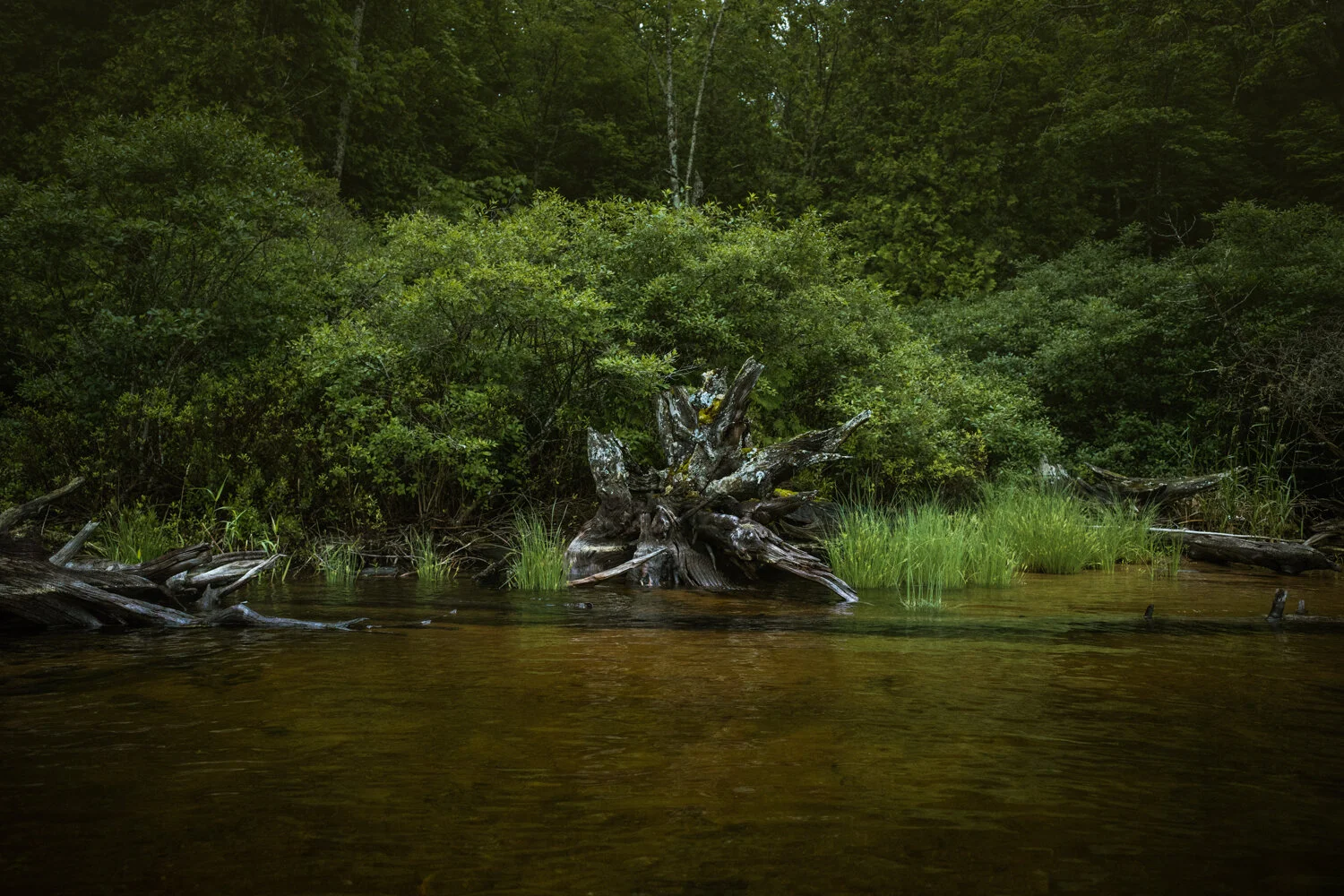 Toronto_Photographer_Joanna_Wojewoda_North_Ontario-8.jpg