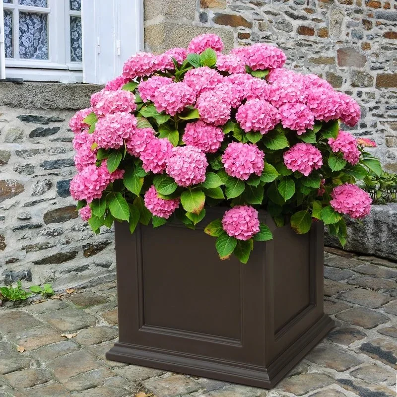Anastasiya+Planter+Box.jpeg