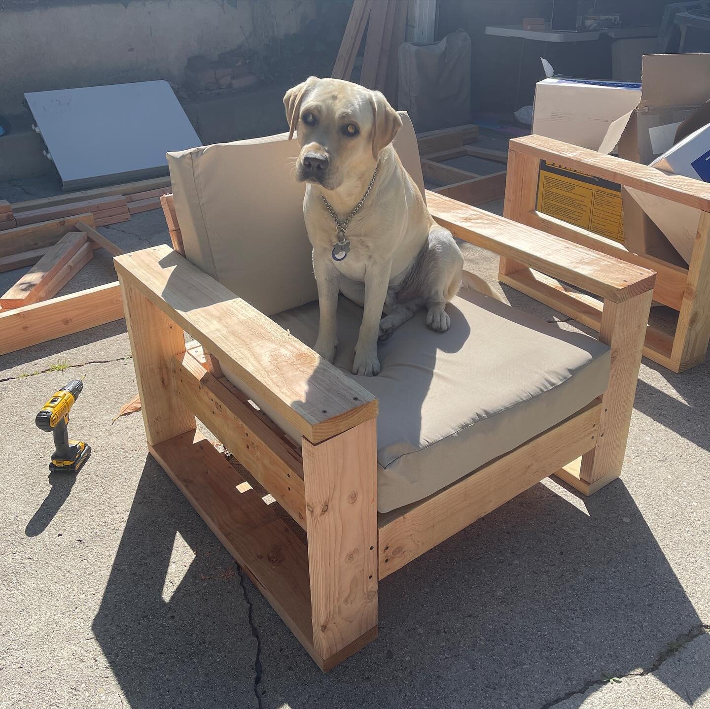 Seemed like pup needed a comfy spot to hang while I make things, so I made him a thing&hellip;

I&rsquo;ll have to make myself one tomorrow.

#art #craft #artsandcrafts #woodworking #artist #stayoutside #dog #dogsofinstagram #diy #homedepot