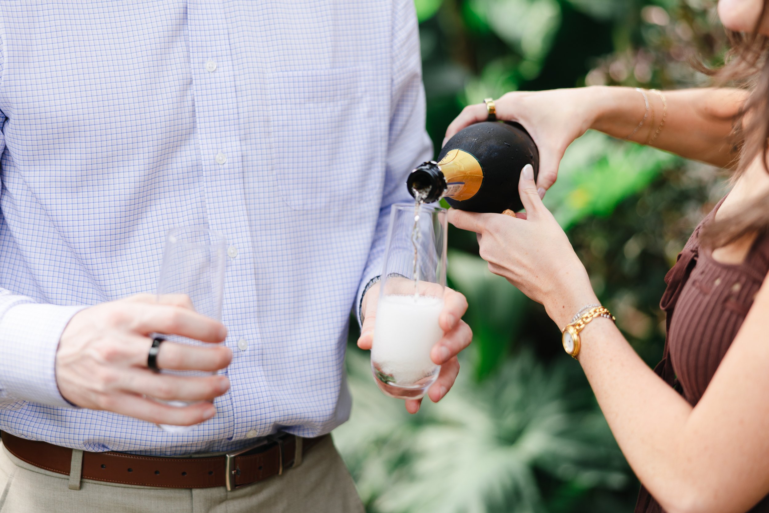 Propose at Daniel Stowe Conservancy by Charlotte Wedding Photographer ParksPictures