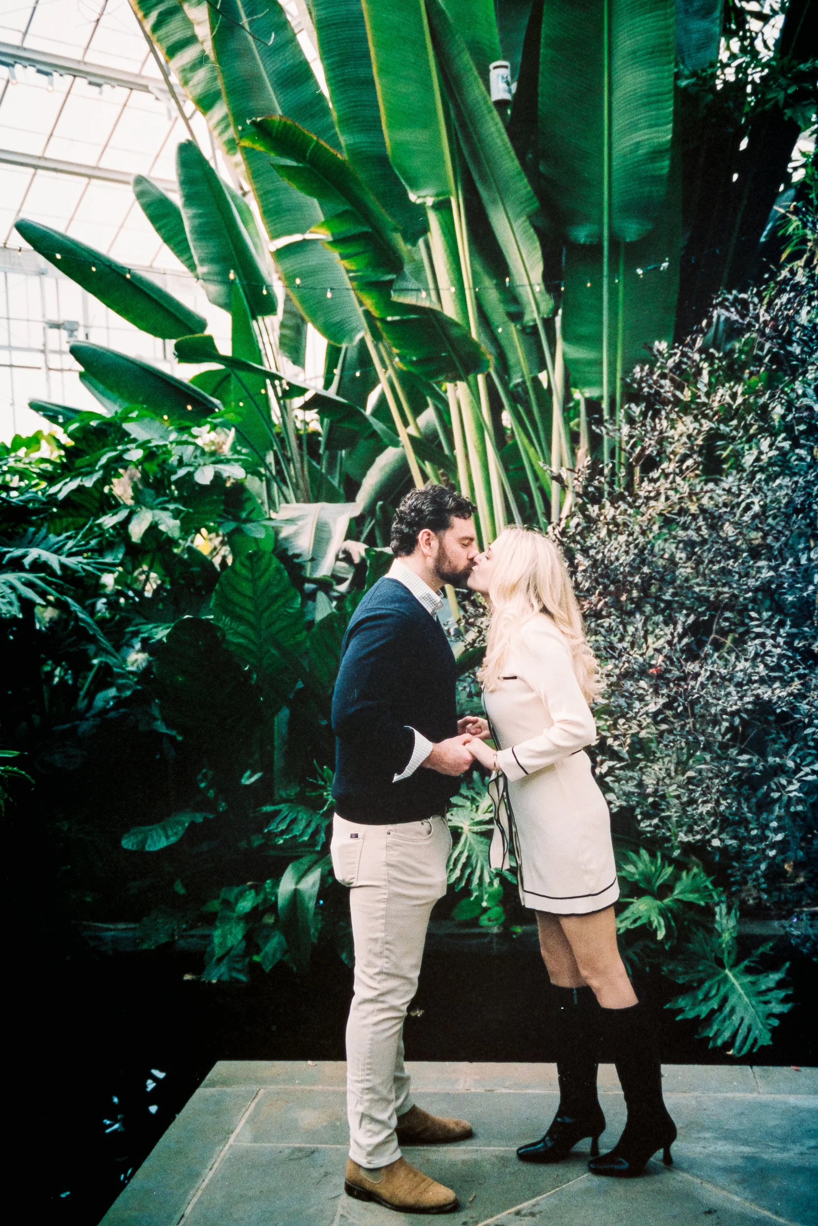 EngagedProposalProposingDanielStoweConservancyBelmontWilliamsonConservatory_ParksPictures