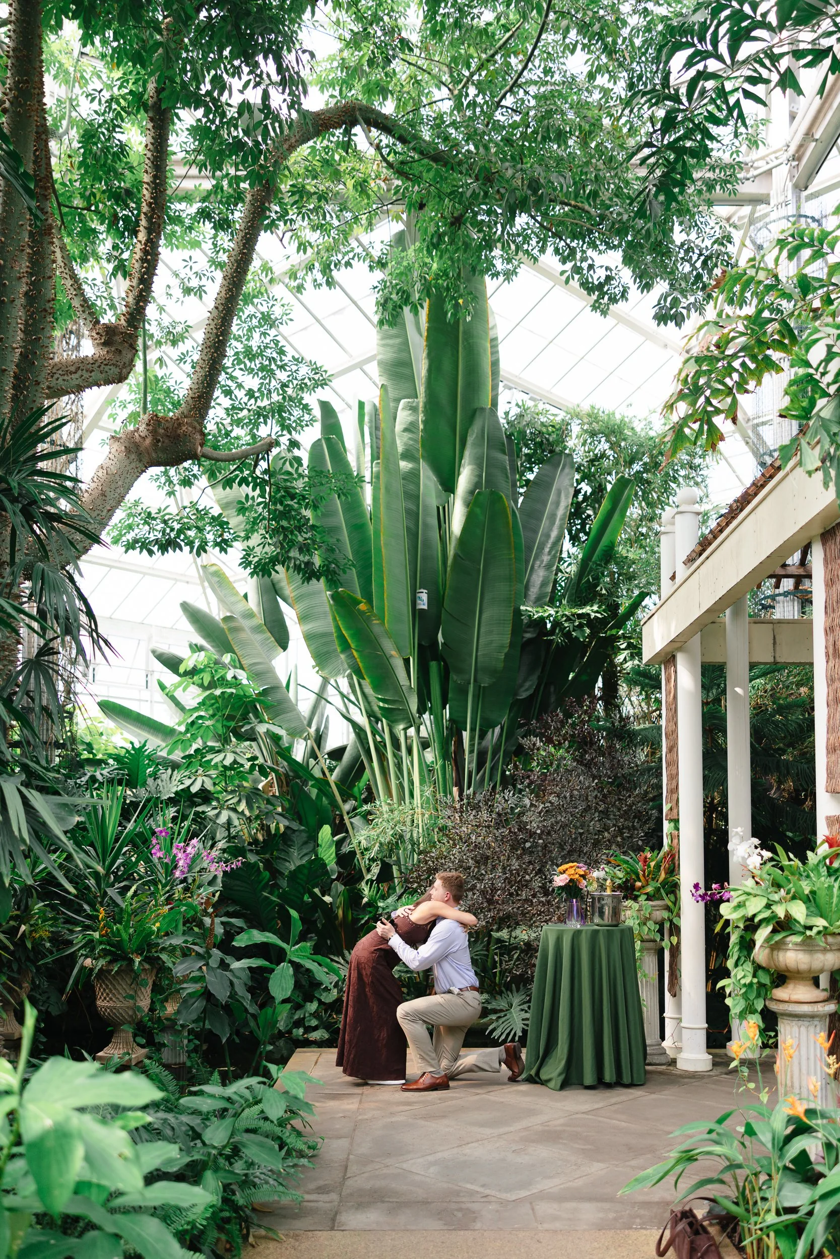 Boyfriend kneeling to propose to his girlfriend in the greenhouse at Daniel Stowe Conservancy by Charlotte film wedding photographer Michael Parks