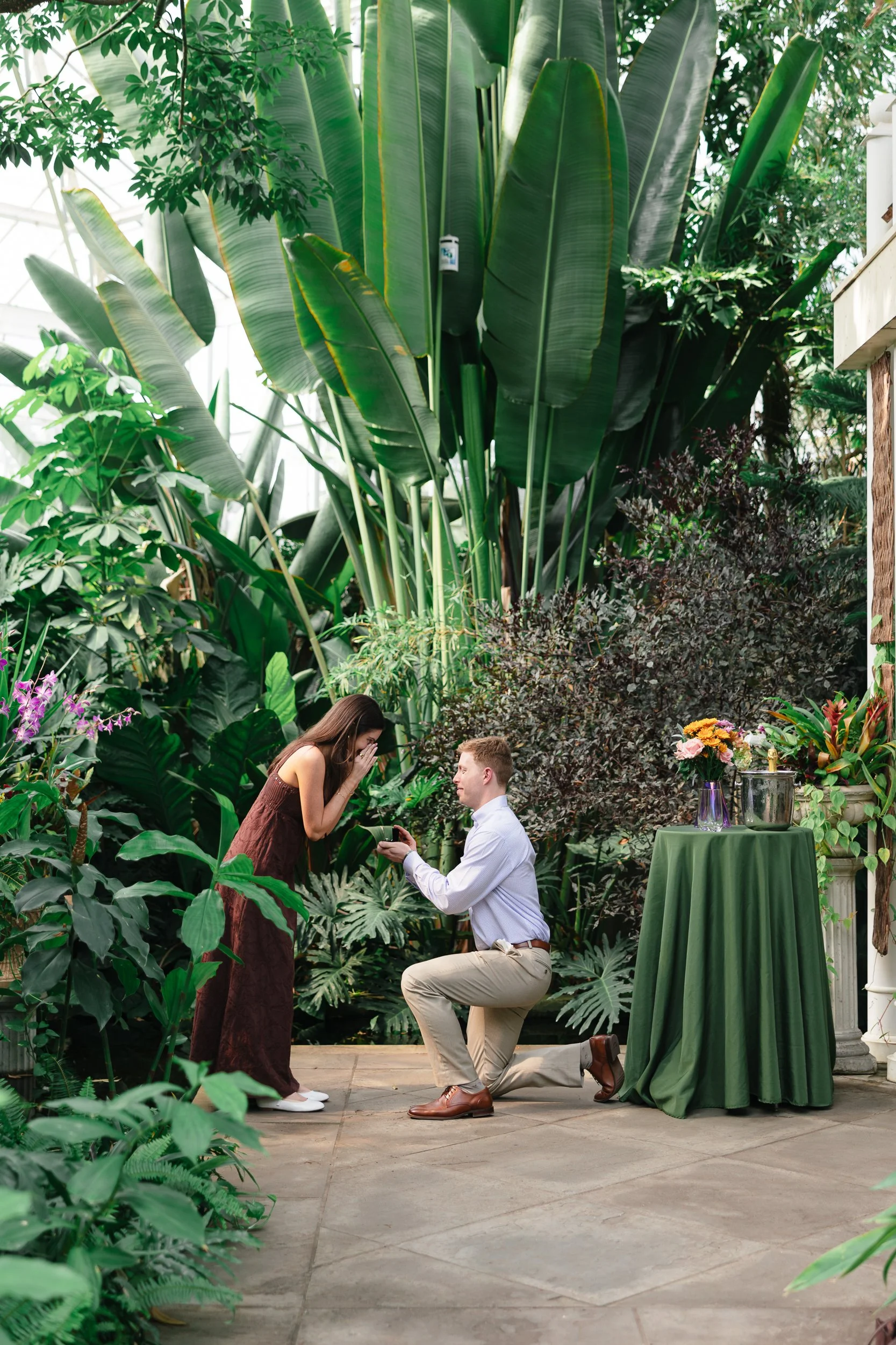 Boyfriend kneeling to propose to his girlfriend in the greenhouse at Daniel Stowe Conservancy by Charlotte film wedding photographer Michael Parks