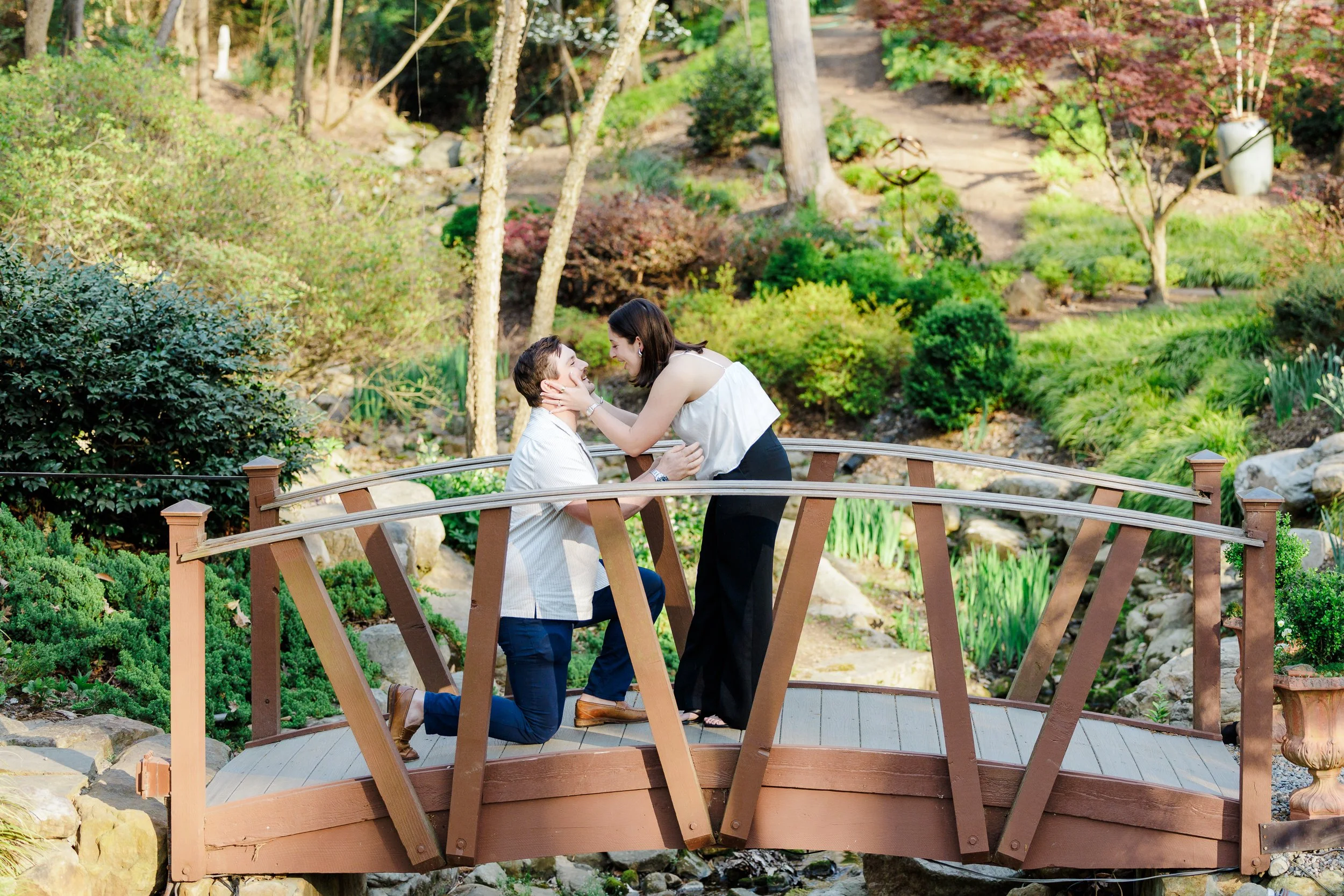 Romantic Marriage Proposal