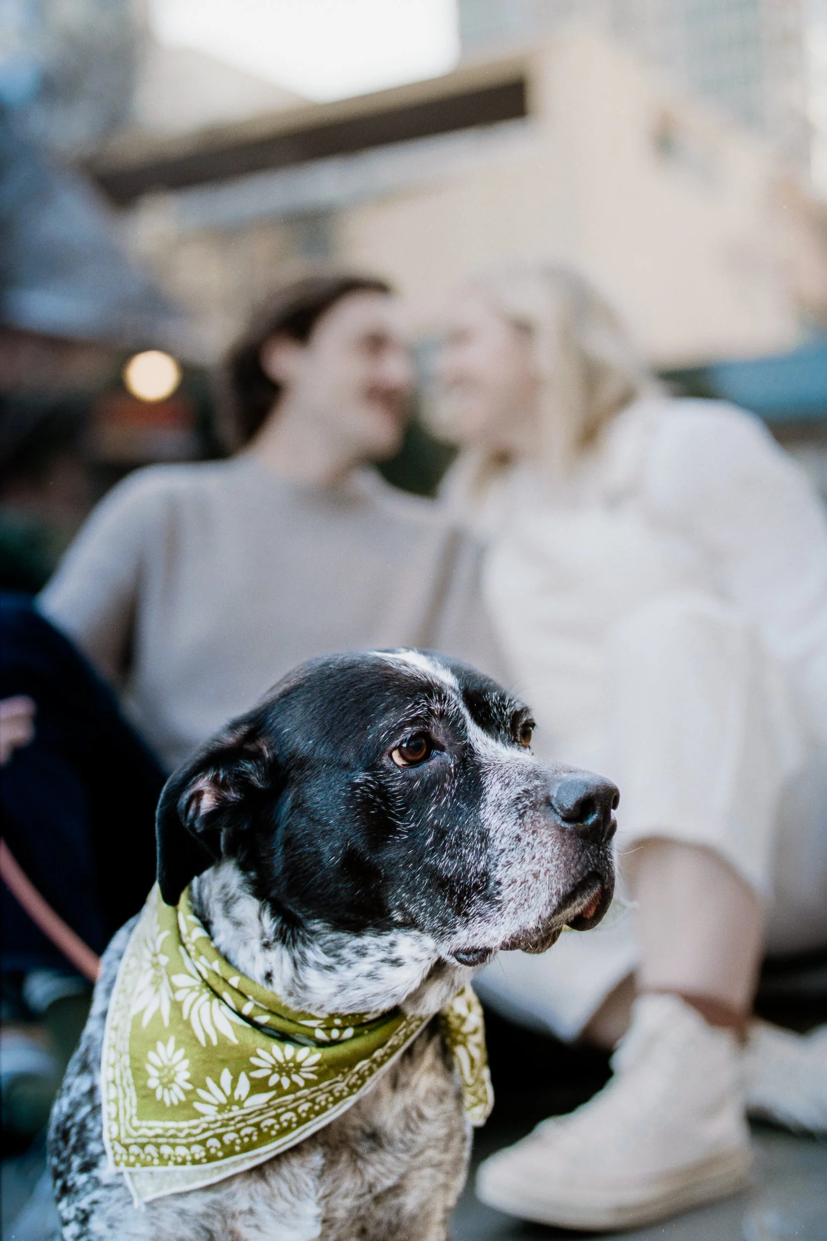 Film Engagement Photos on The Green Uptown Charlotte St Peter Catholic Church by wedding photographer ParksPictures