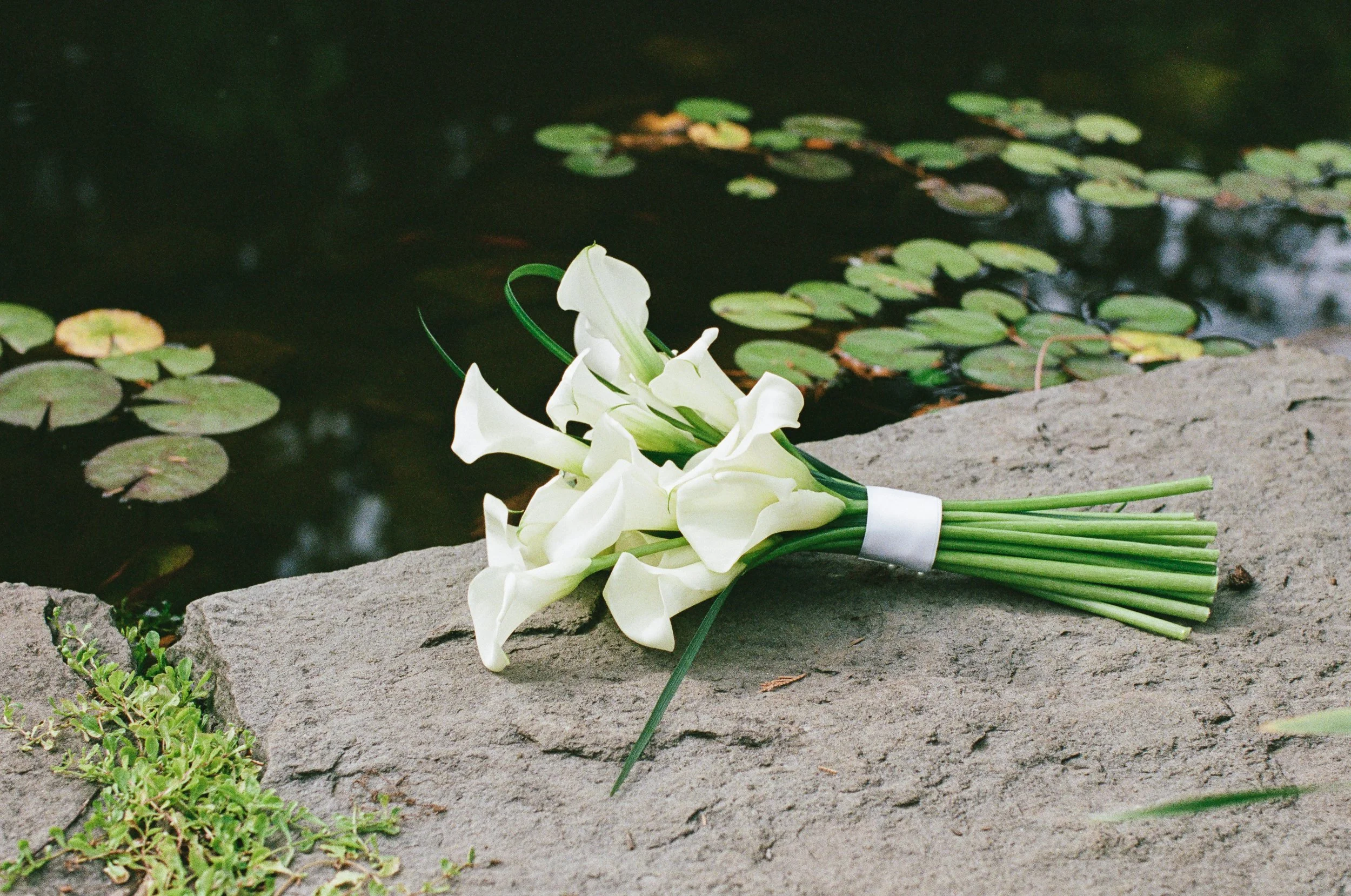 FilmCatholicWeddingPhotographer SaintGabrielCatholicChurch AlexanderHomestead Charlotte NC