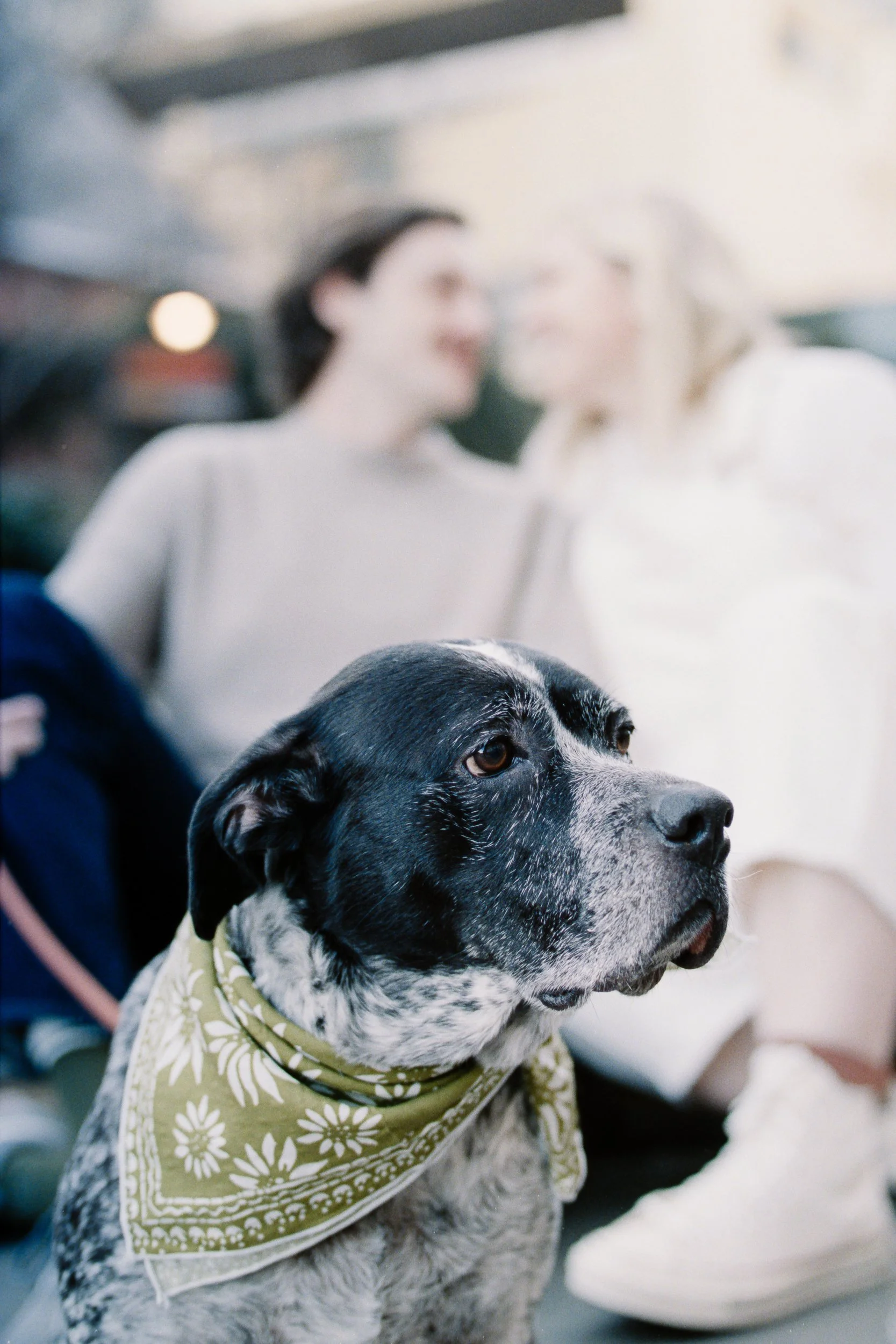 Film Engagement Photos on The Green Uptown Charlotte St Peter Catholic Church