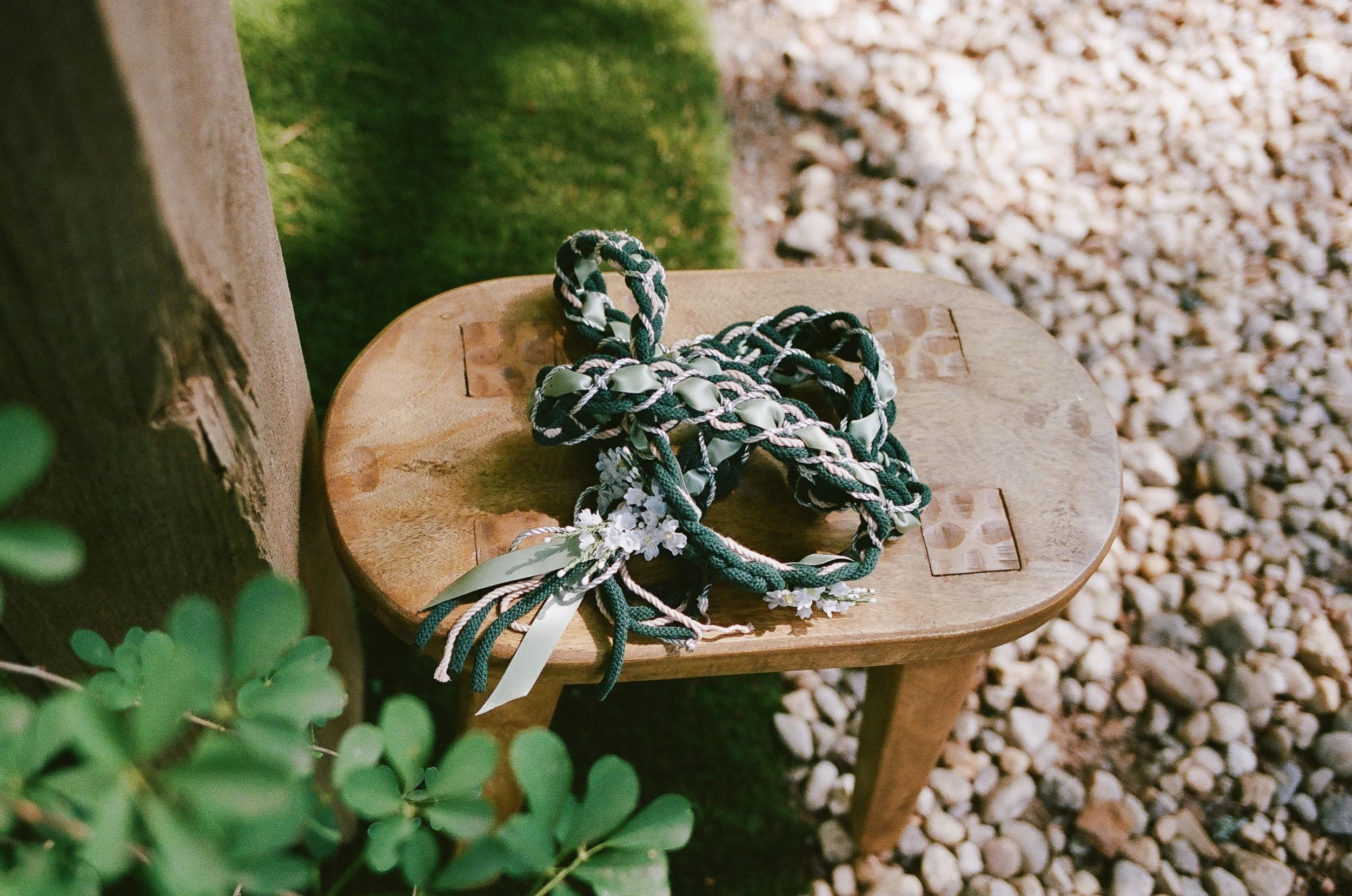 ClemsonAlumniWedding_RobertsonHomesteadRockHillSC_FilmPhotographer_ParksPictures