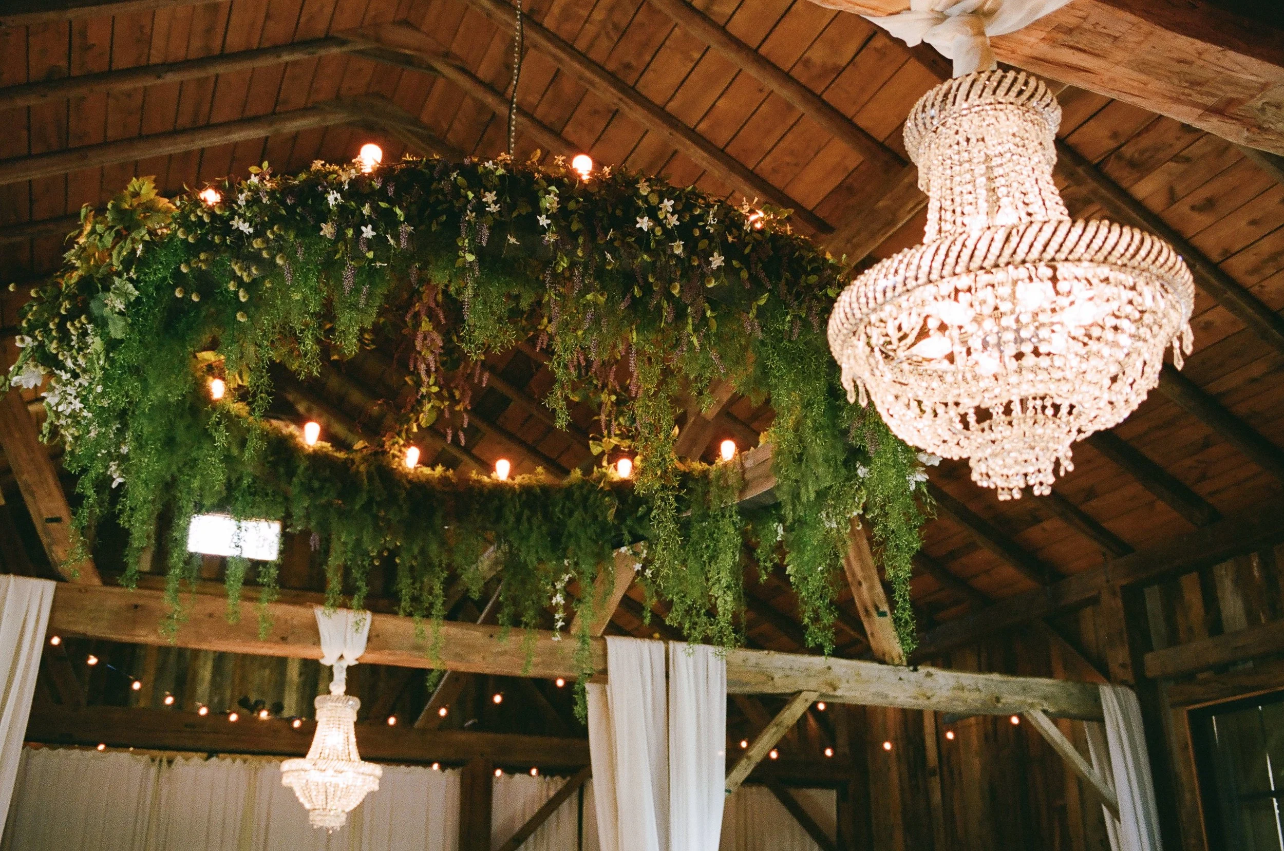 ClemsonAlumniWedding_RobertsonHomesteadRockHillSC_FilmPhotographer_ParksPictures