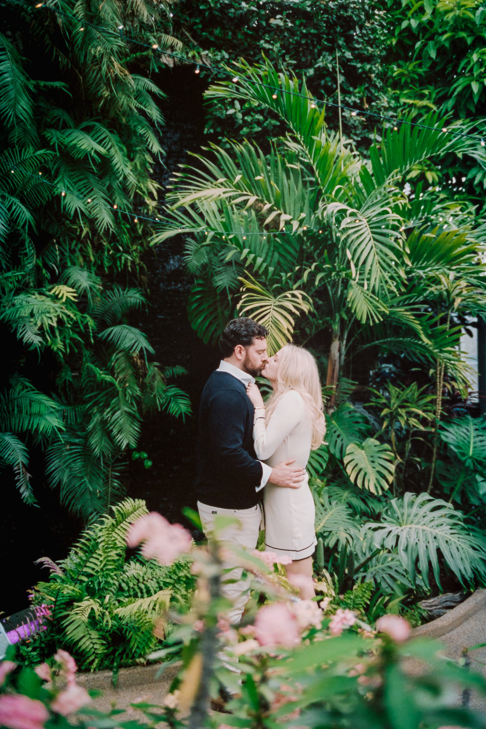 EngagedProposalProposingDanielStoweConservancyBelmontWilliamsonConservatory_ParksPictures
