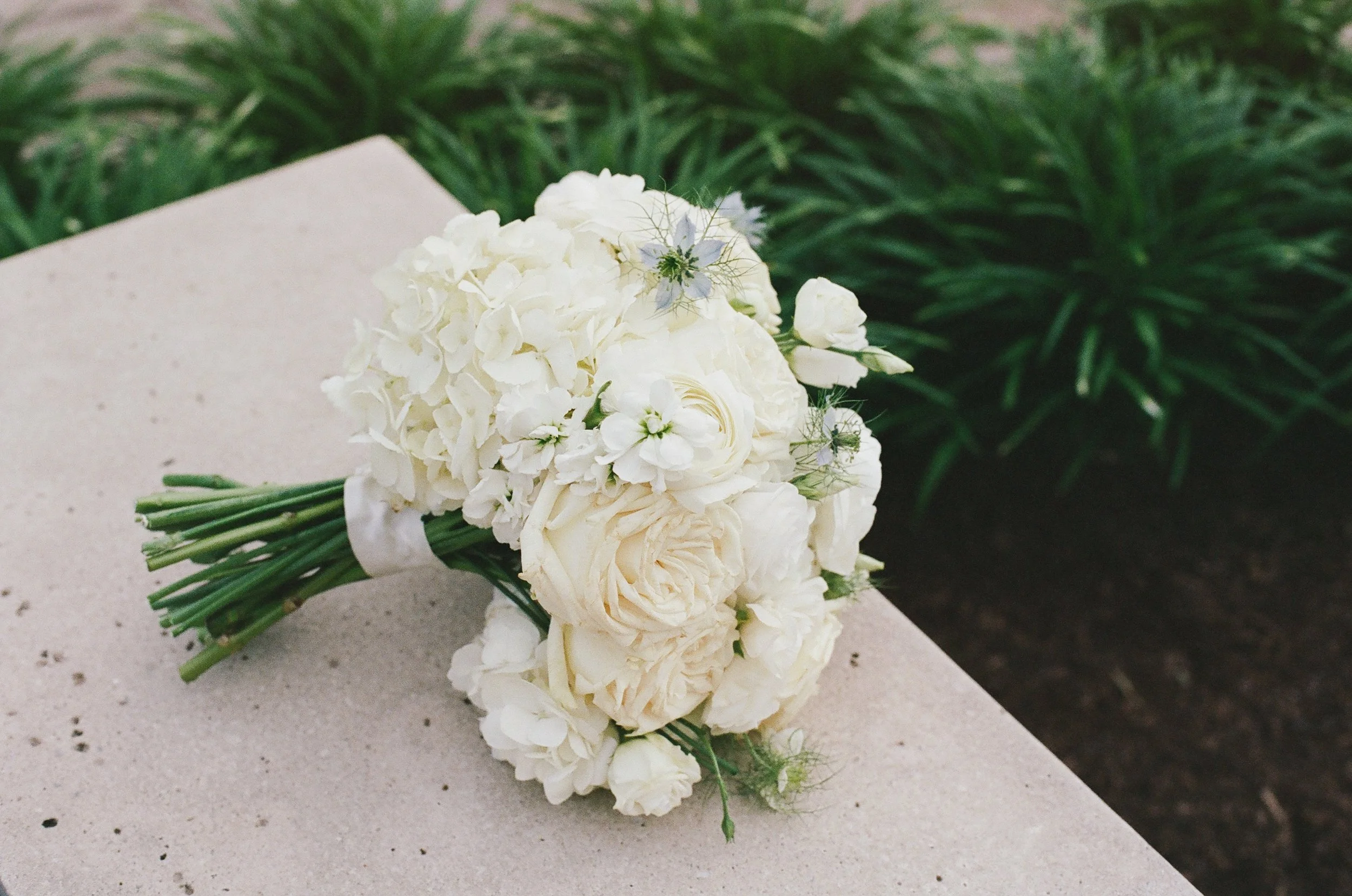 St.MatthewCatholicChurch_ClubAtLongview_CharlotteFilmWeddingPhotographer_ParksPictures