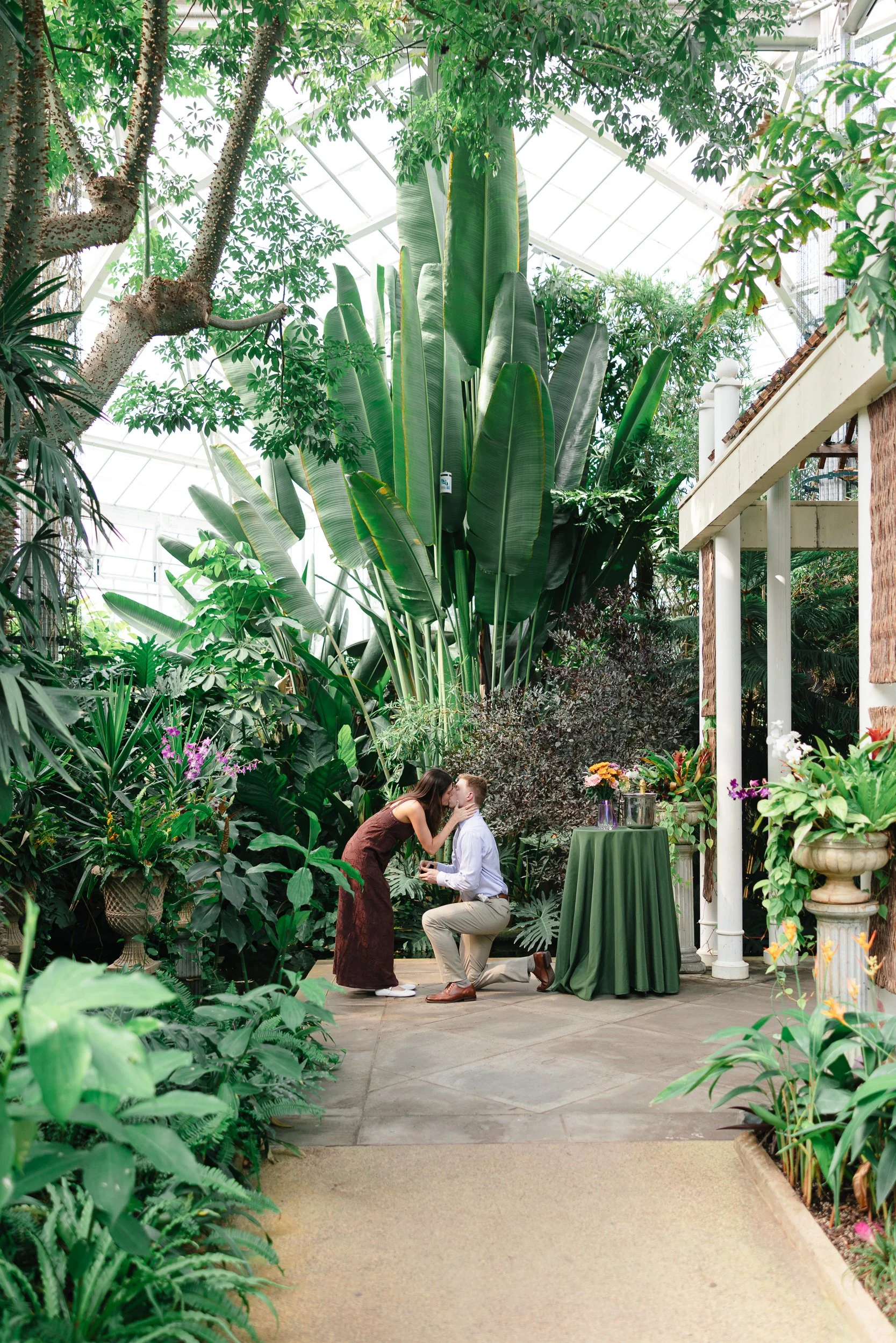 Boyfriend kneeling to propose to his girlfriend in the greenhouse at Daniel Stowe Conservancy by Charlotte film wedding photographer Michael Parks
