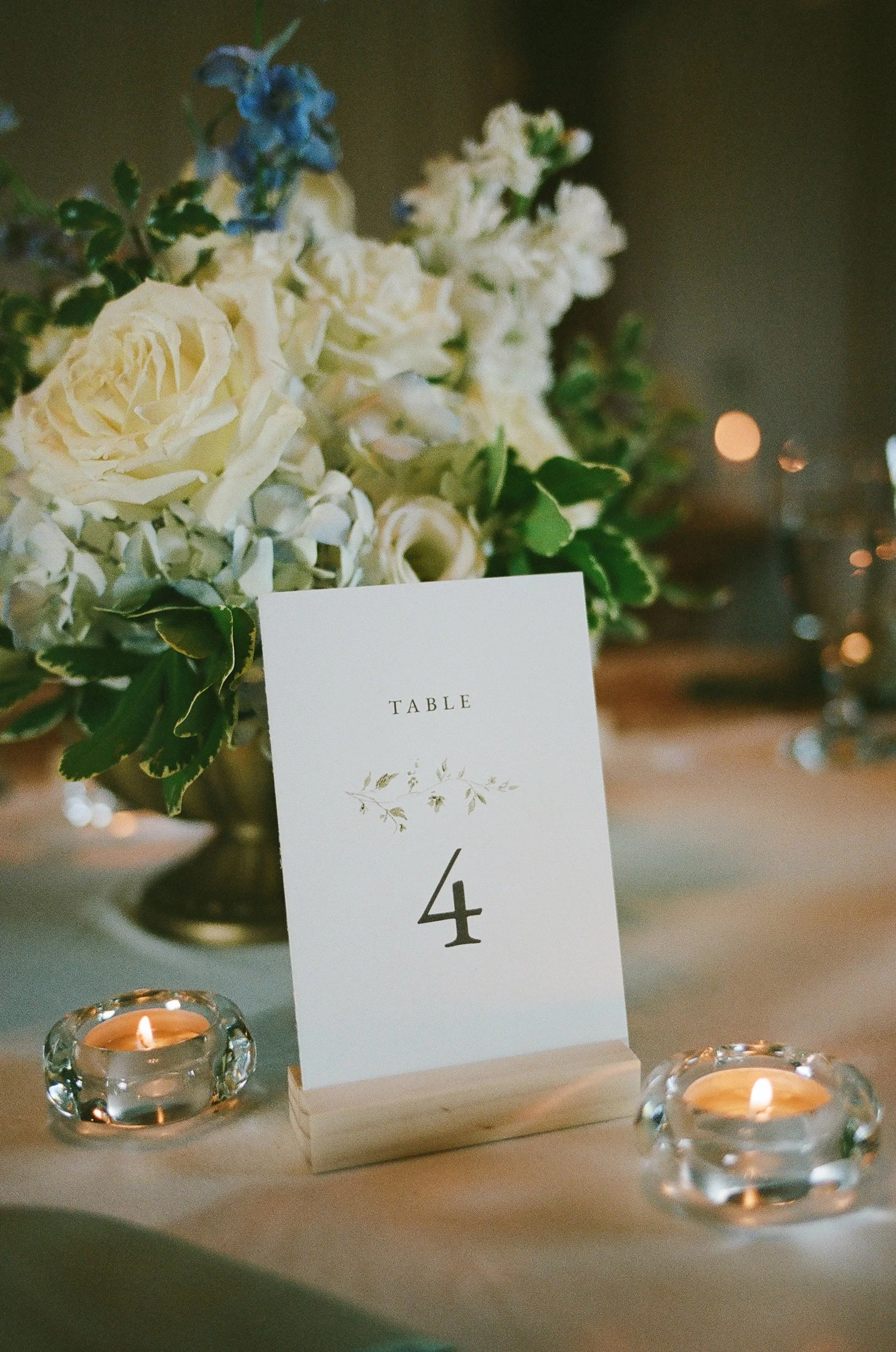 ClemsonAlumniWedding_RobertsonHomesteadRockHillSC_FilmPhotographer_ParksPictures