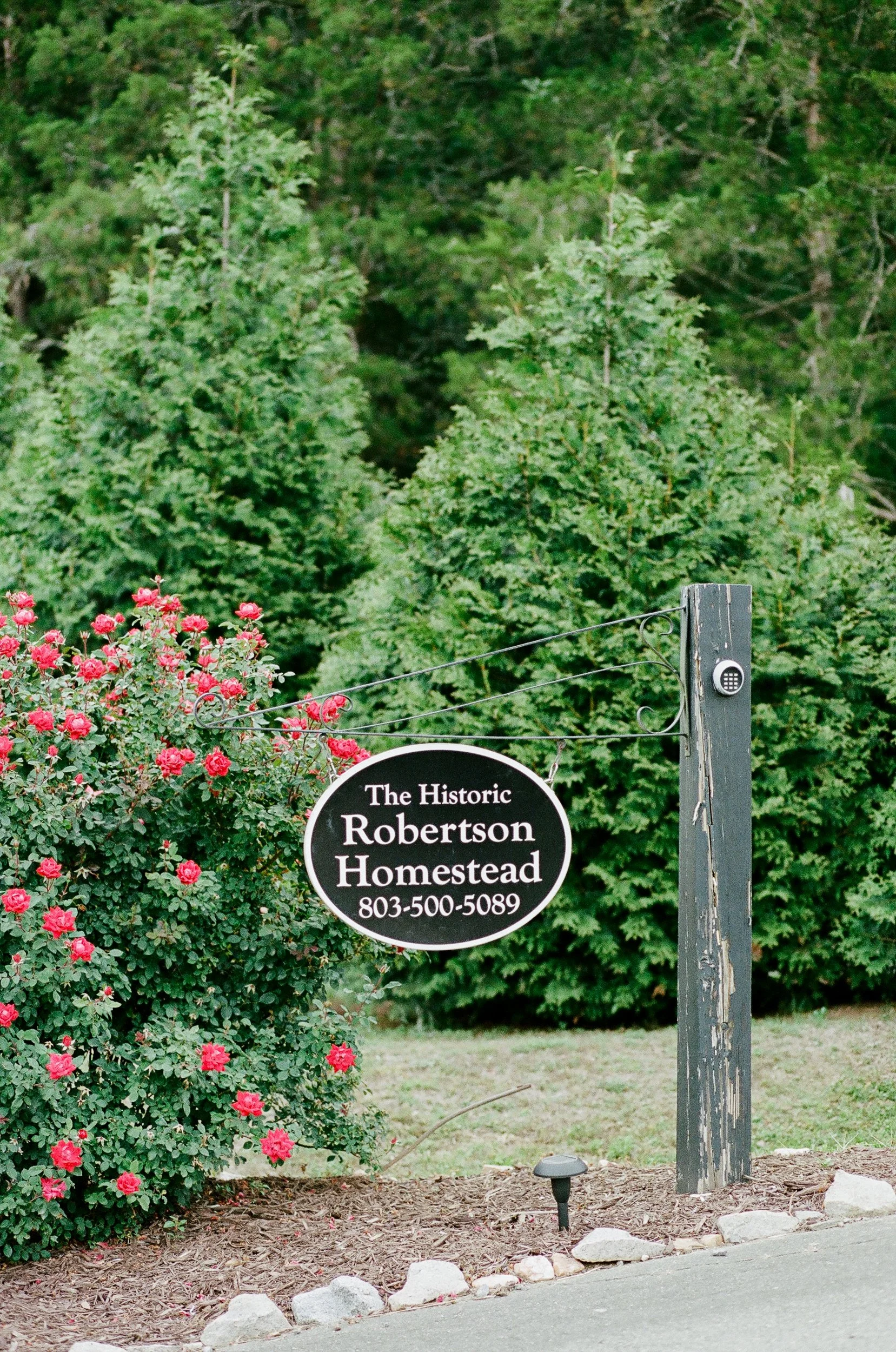ClemsonAlumniWedding_RobertsonHomestead_FilmPhotographer_ParksPictures